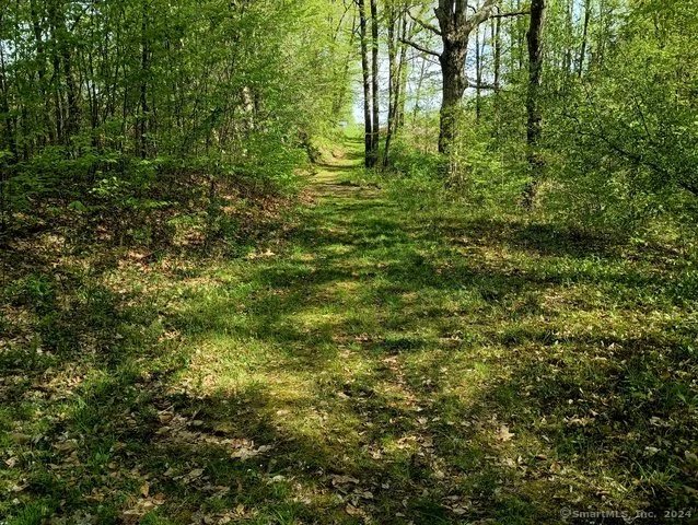 photo4.jpg