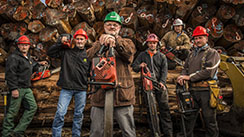 Timber Kings Season 2&4 (Series) Paperny Entertainment Online Editor