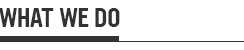 244px_WhatWeDo.jpg