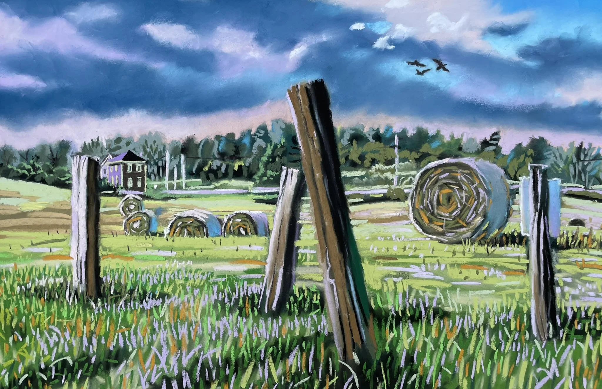 Posts in Hayfield