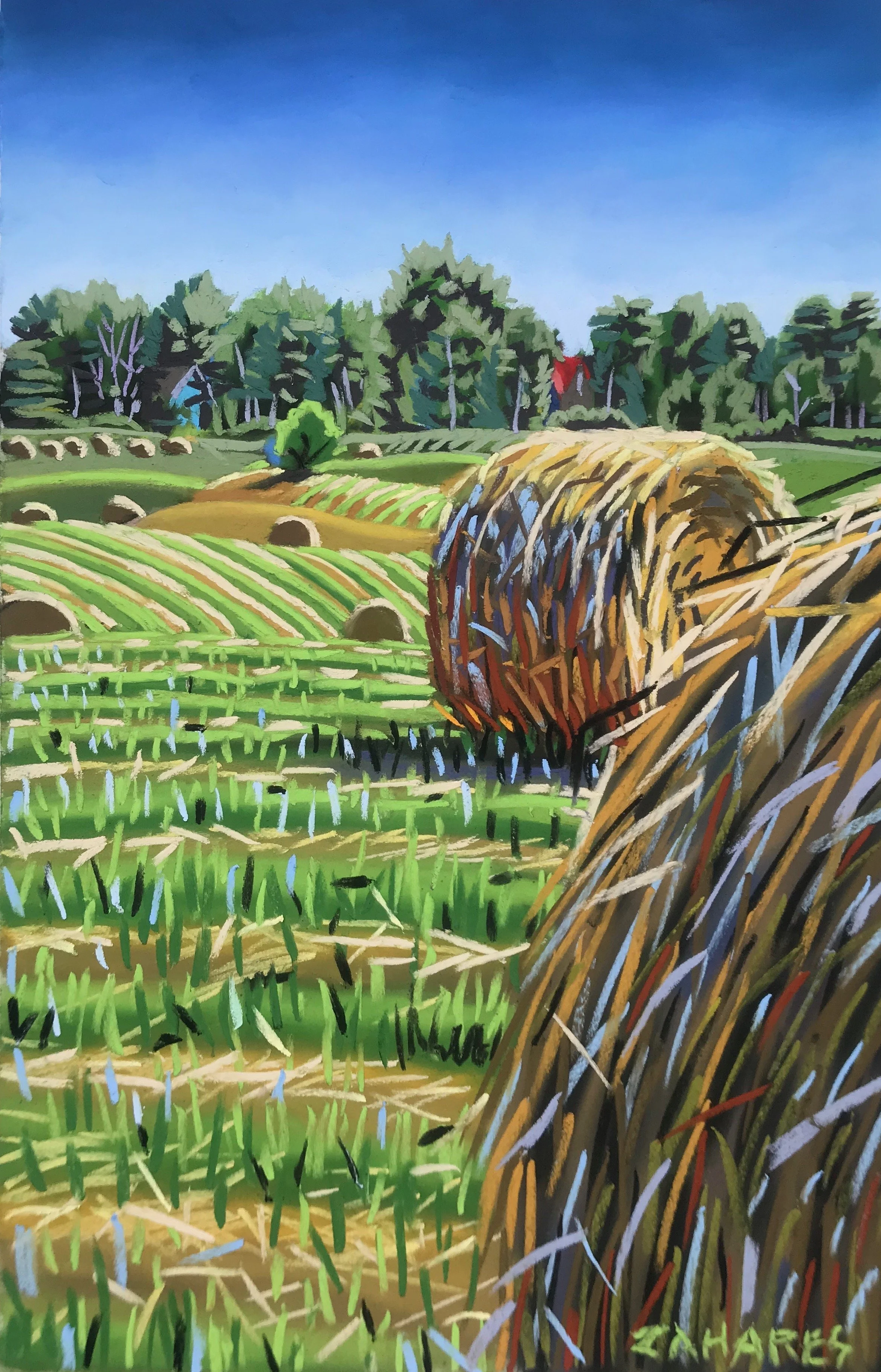 Sundays Double Feature