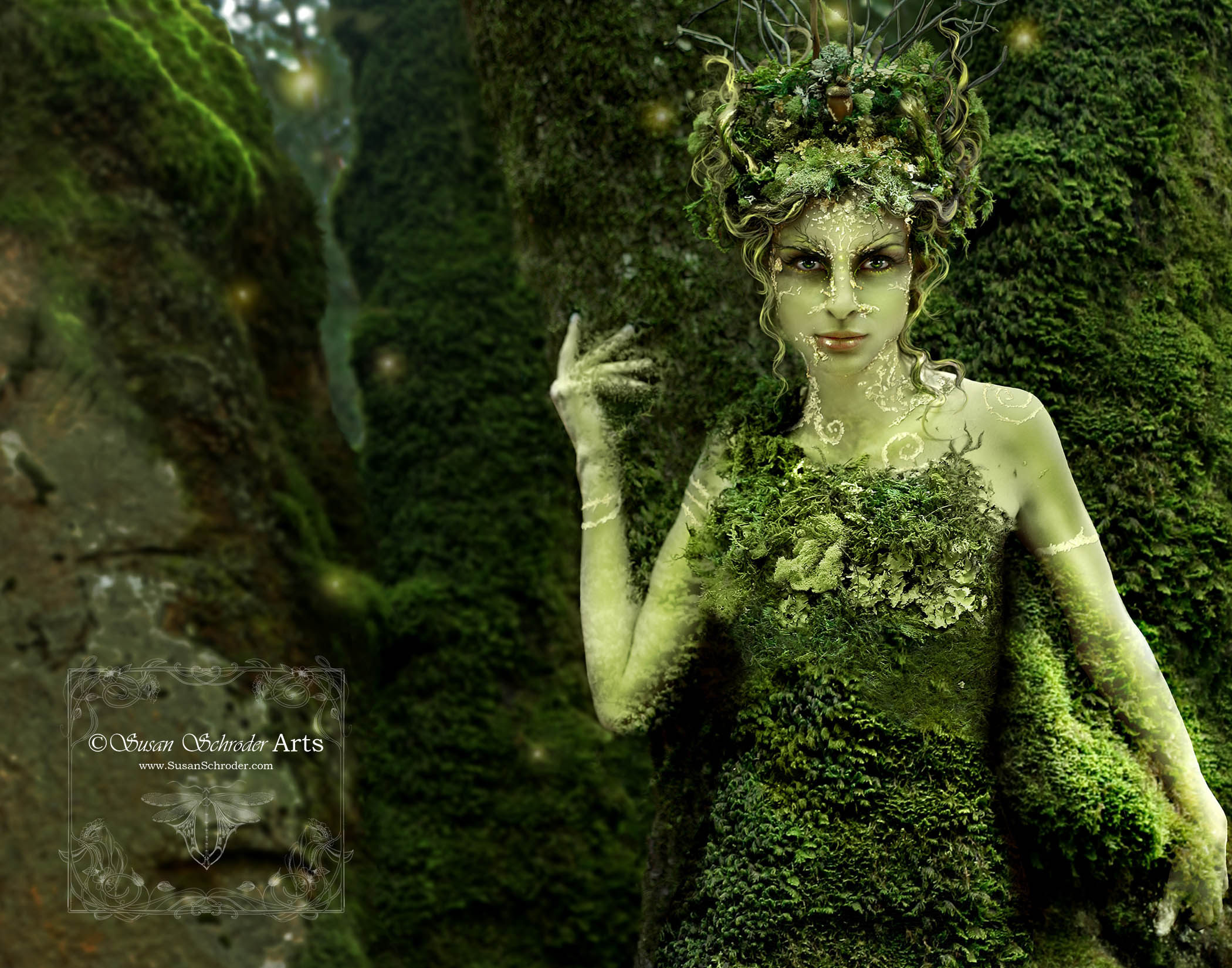 Schroder_Hedgecreek Dryad_Web.jpg