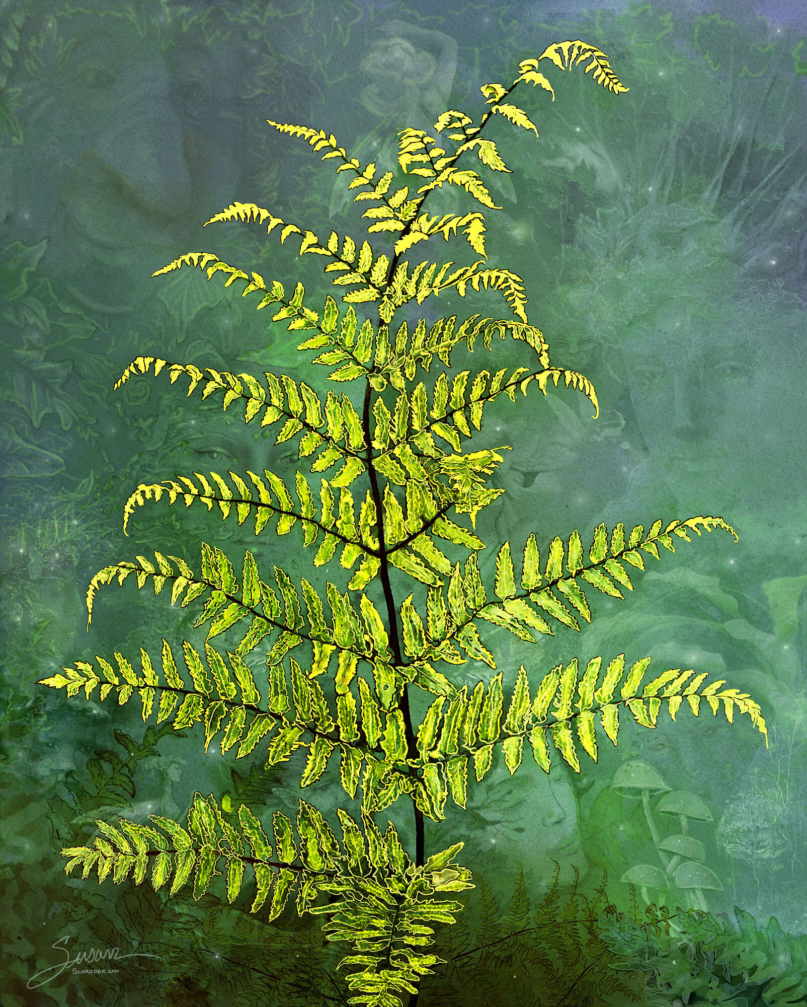 Beyond the Golden Fern