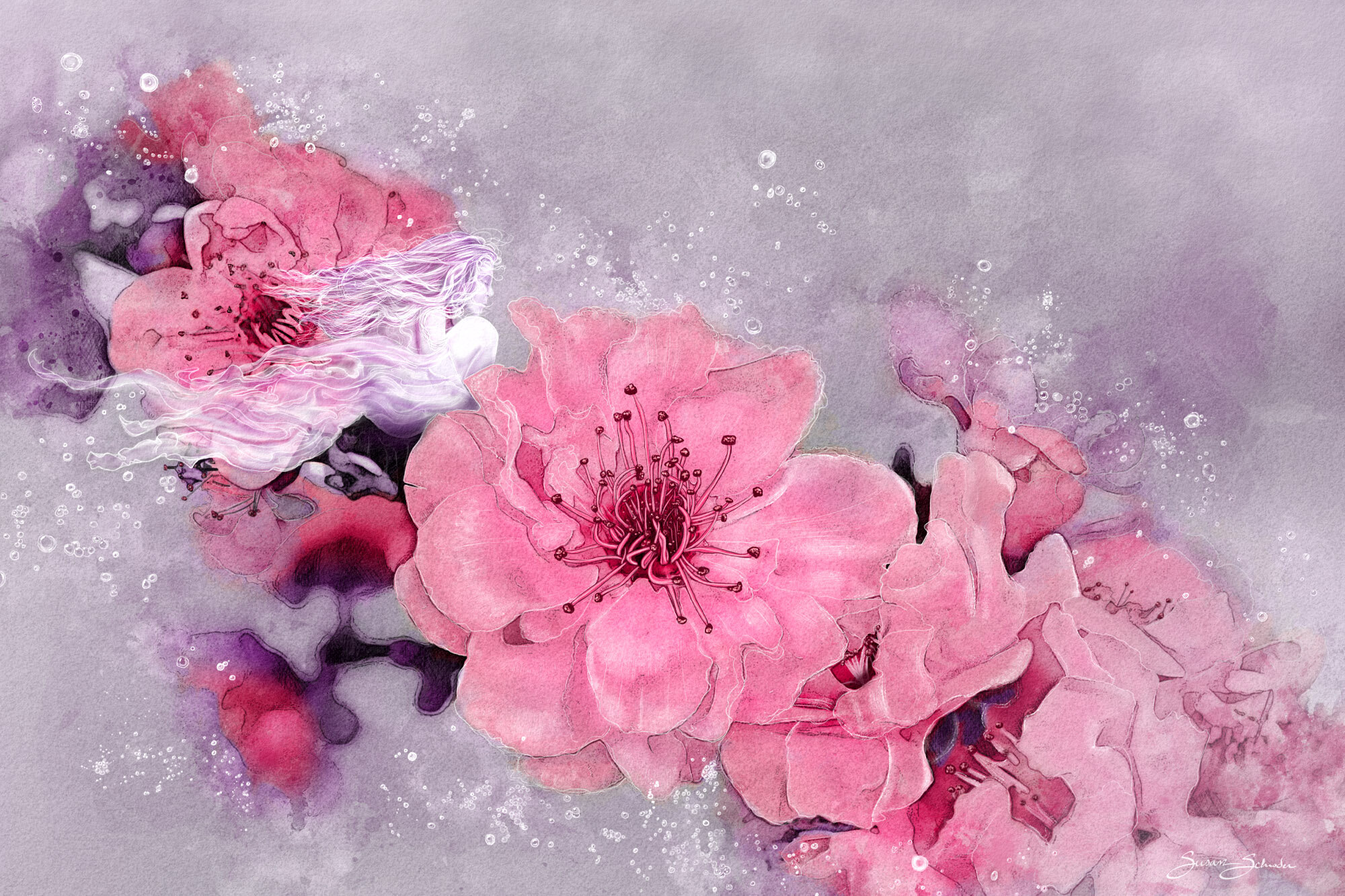 Shimmirian Series - Cherry Blossoms