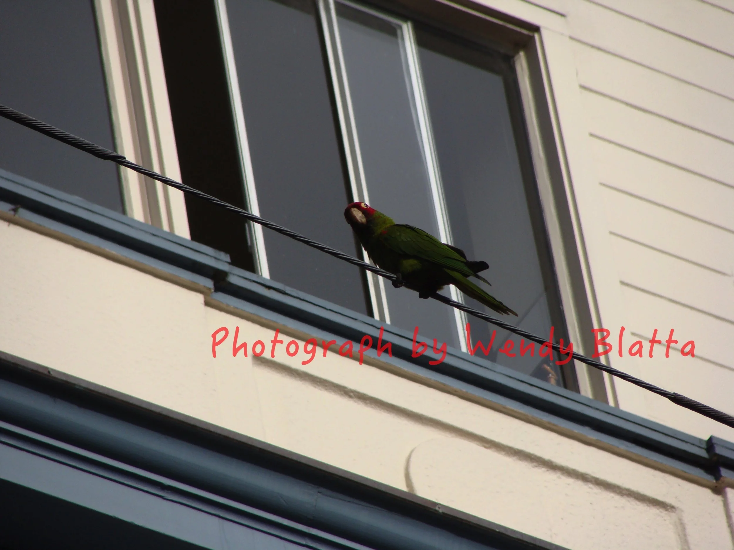 14 - Effecting Physical Change Mentally Watermarked.jpg