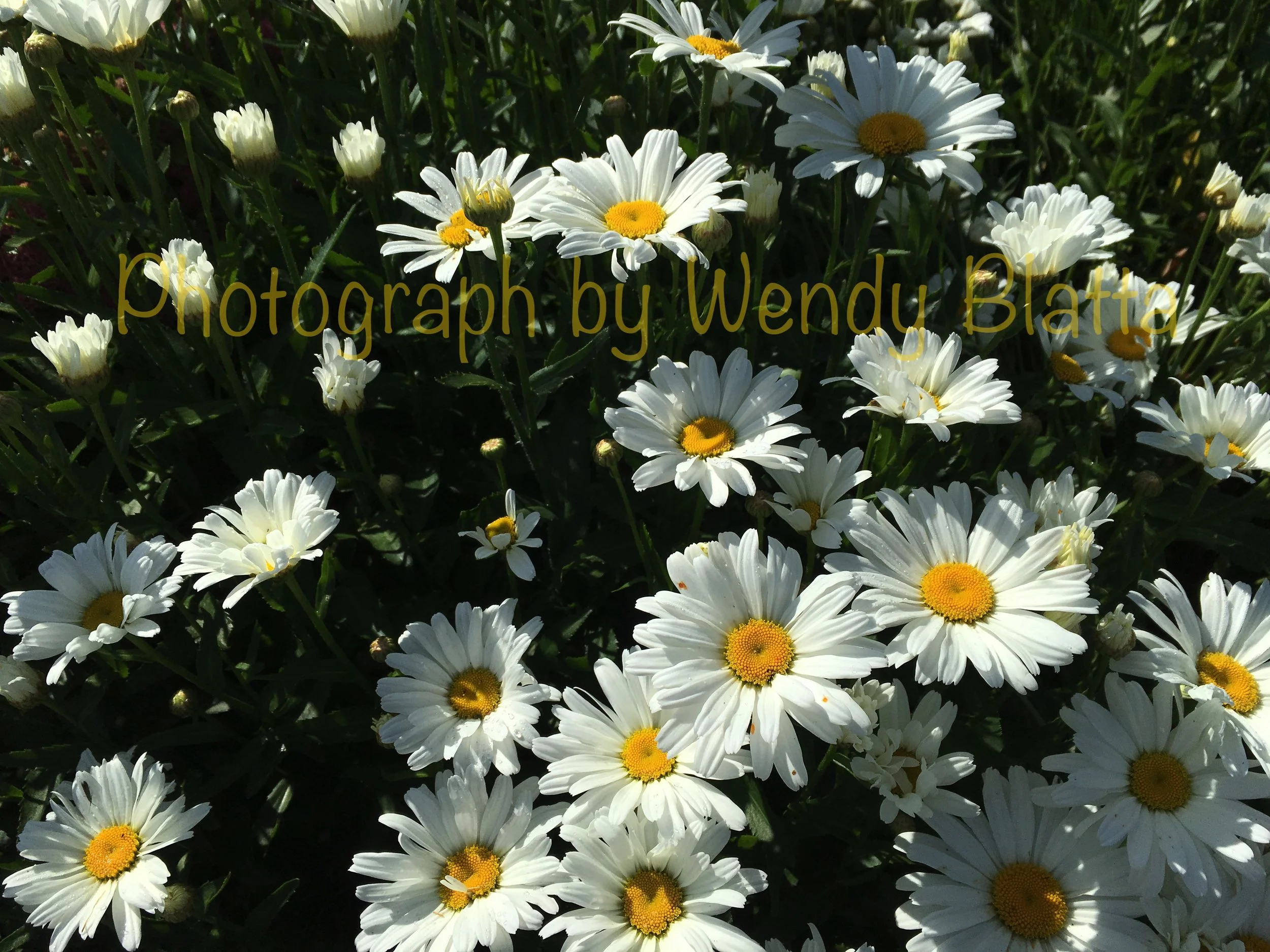 40 - A Telephone Call Watermarked.jpg
