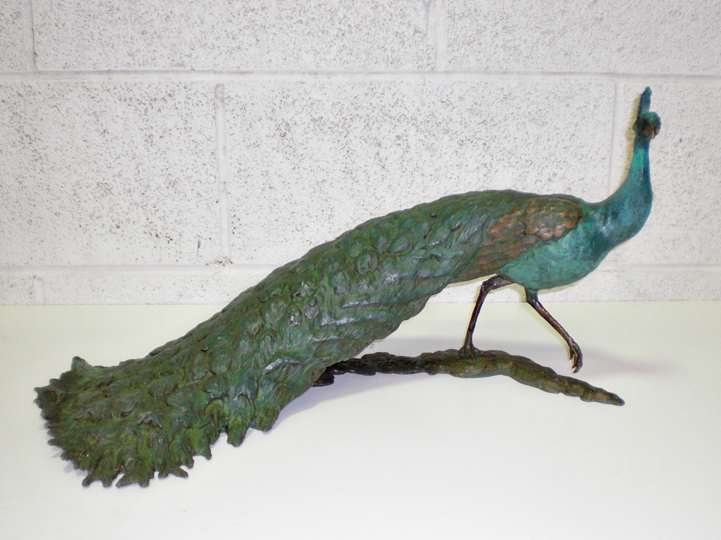 Walking Peacock
