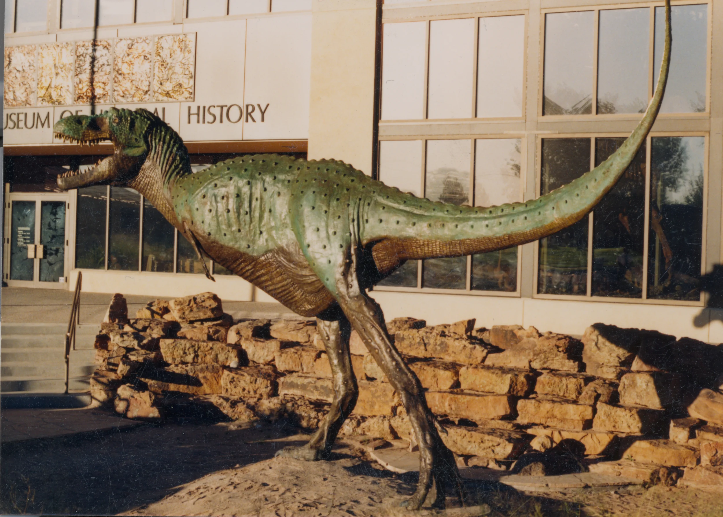 dinosaur.jpg