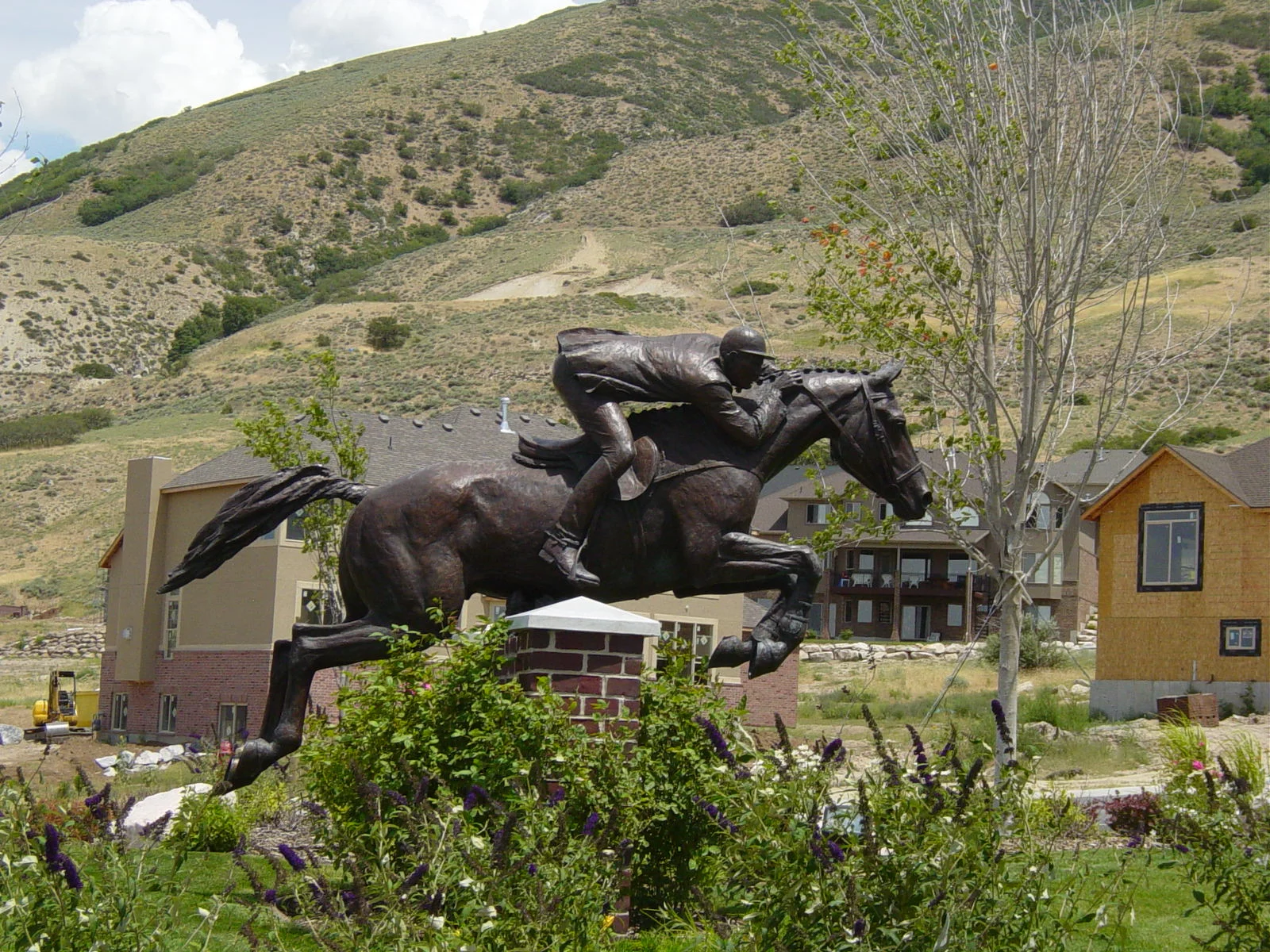 Steeplechase