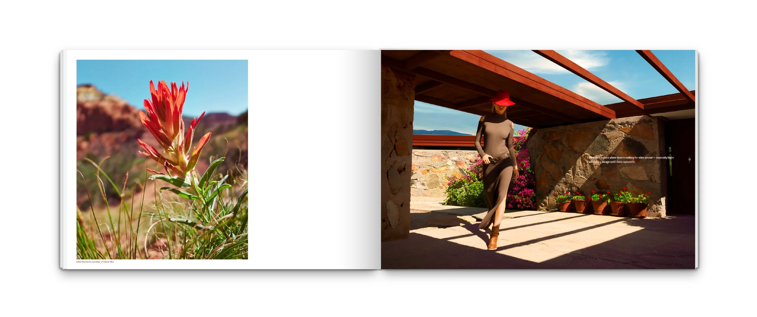 Artboard 1 copy-100.jpg