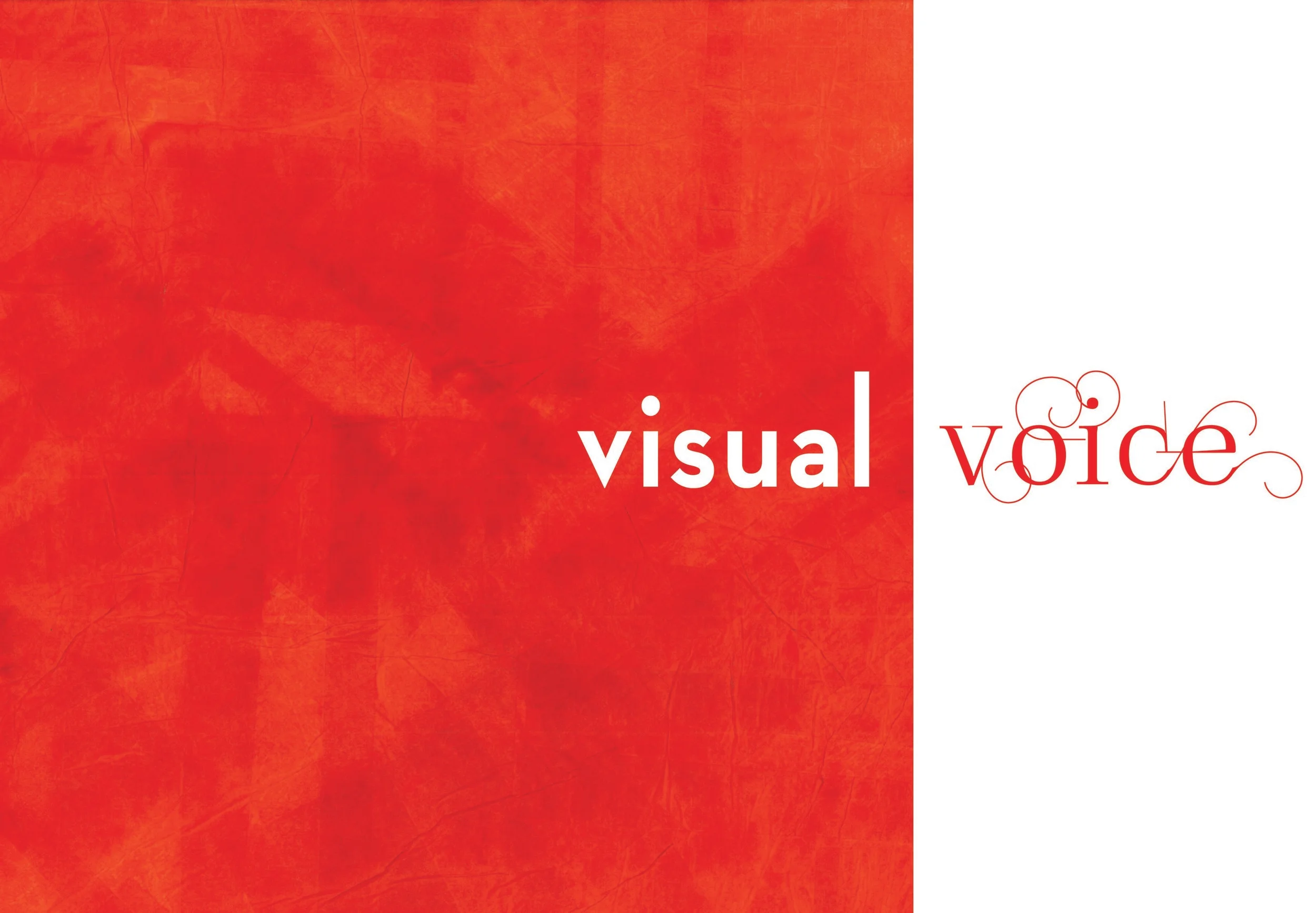 visual voice 2.jpg