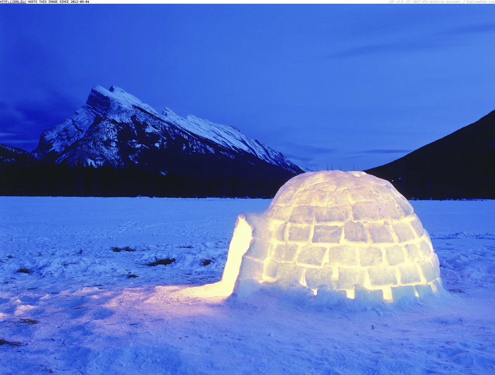 Igloo