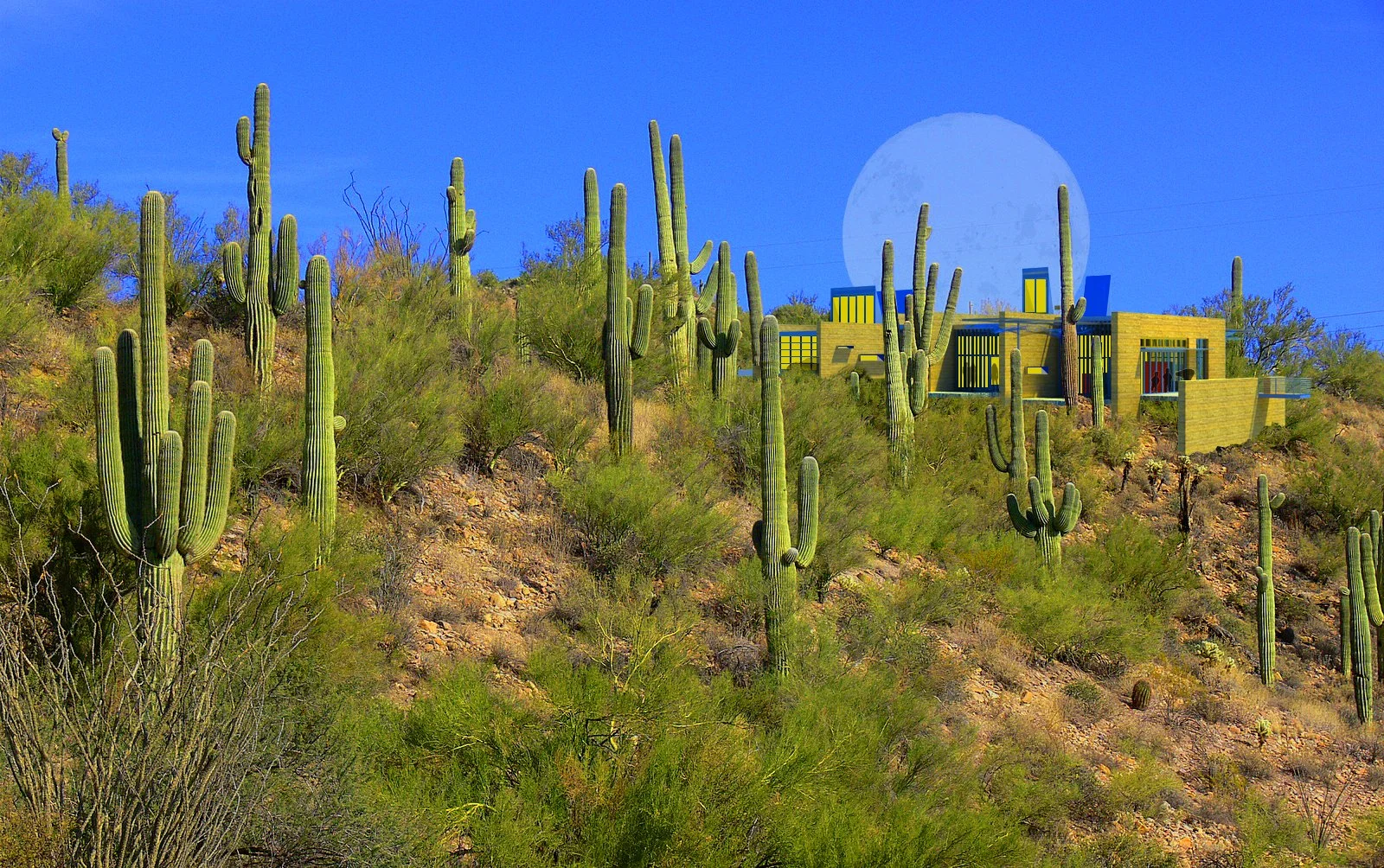  Client: &nbsp;Confidential  Commission:&nbsp; Hot Climate Residential Prototype  