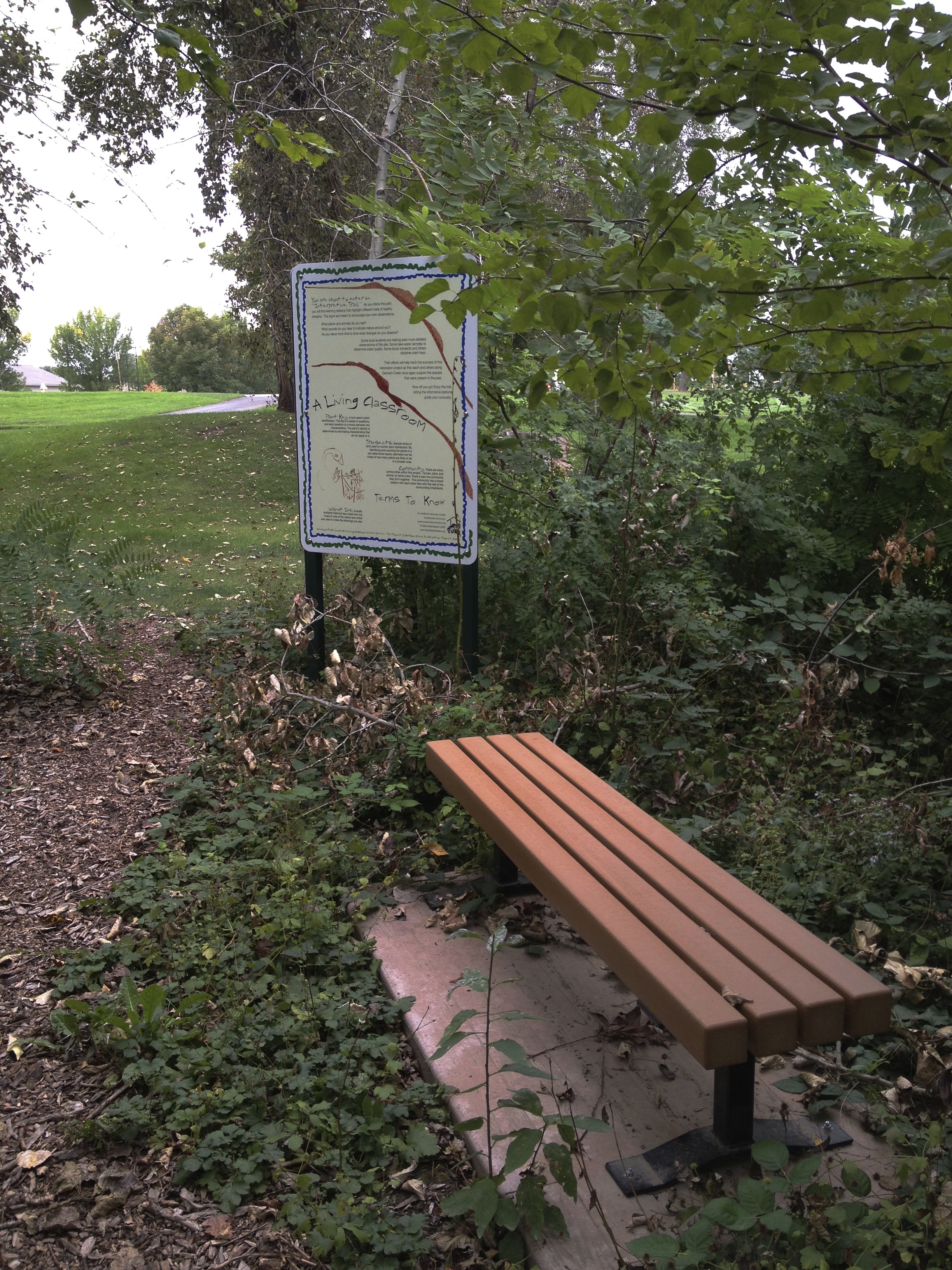 IMG_trail 4.jpg