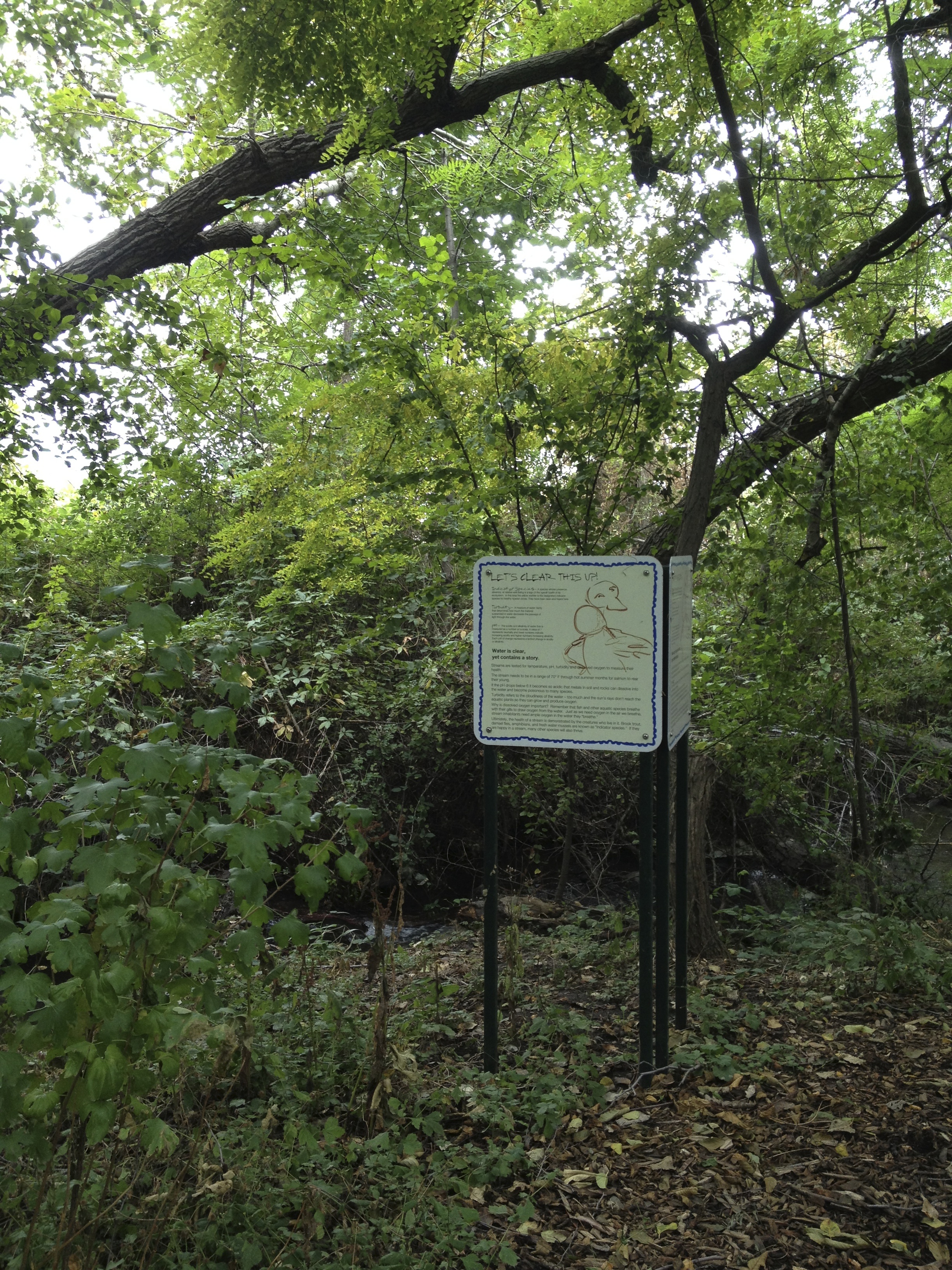 IMG_trail 6.jpg