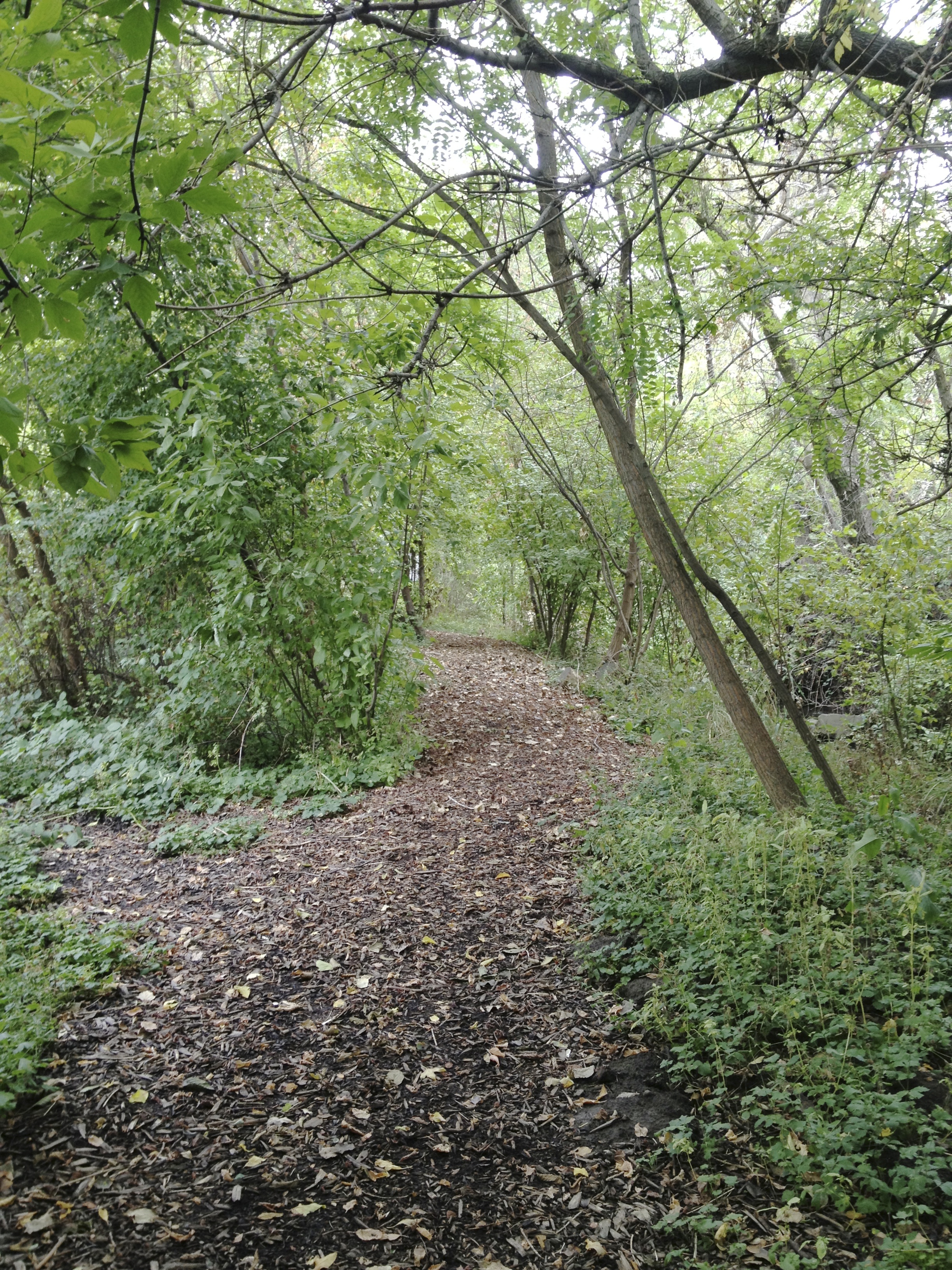 IMG_trail 9.jpg