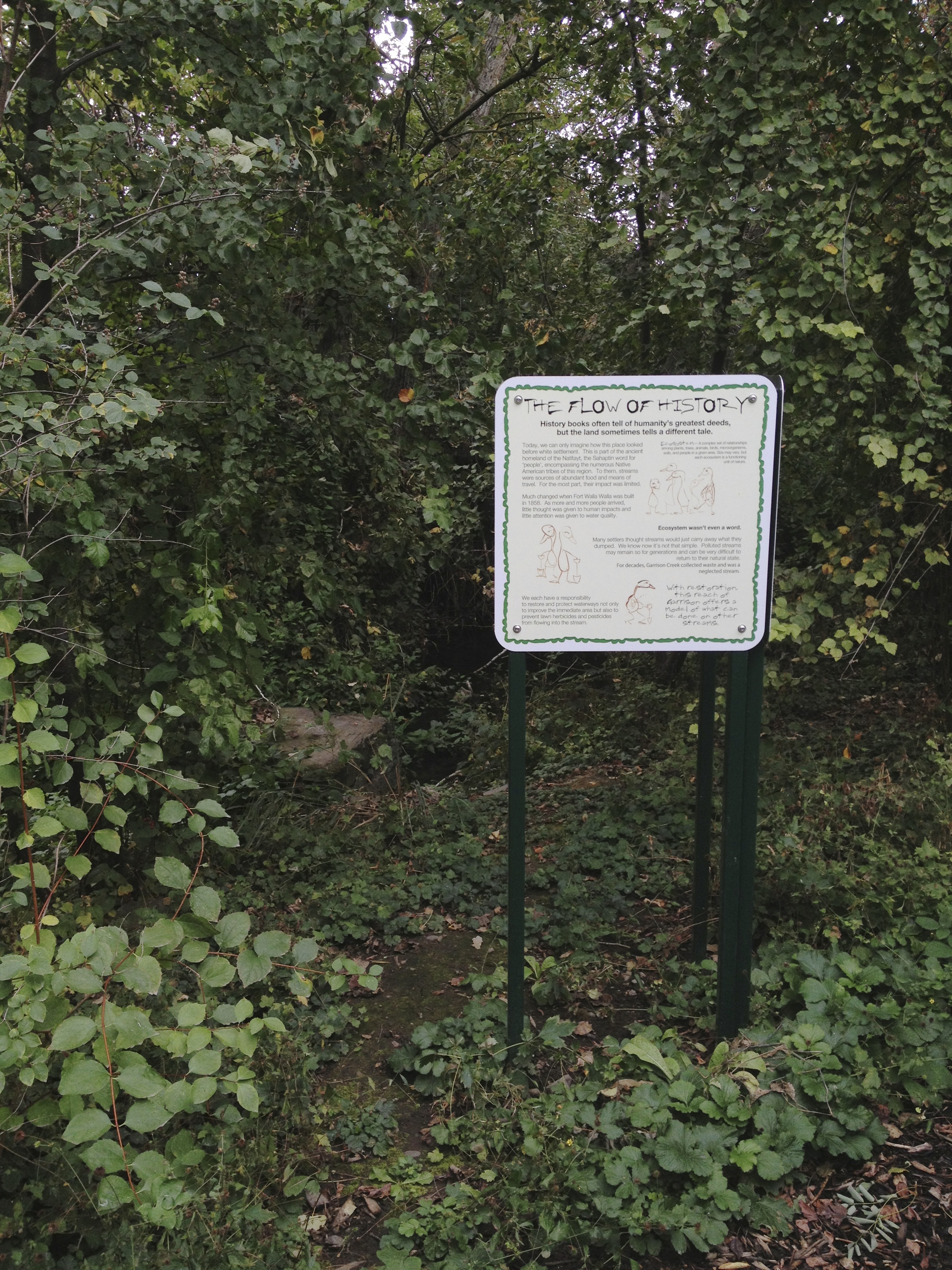IMG_trail 10.jpg