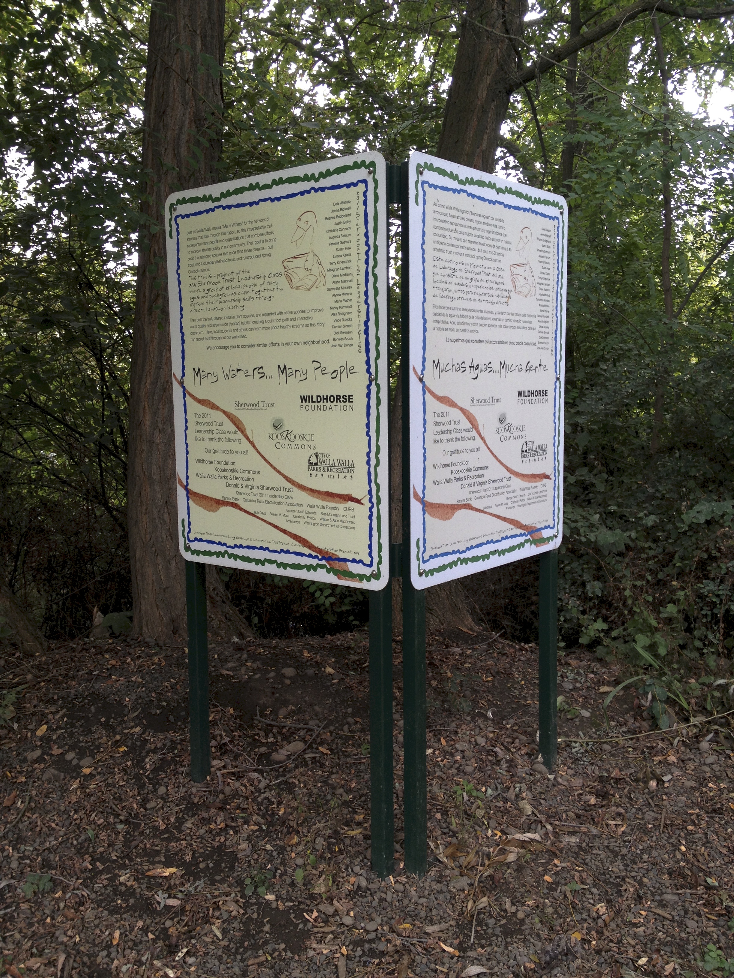 IMG_trail 15.jpg