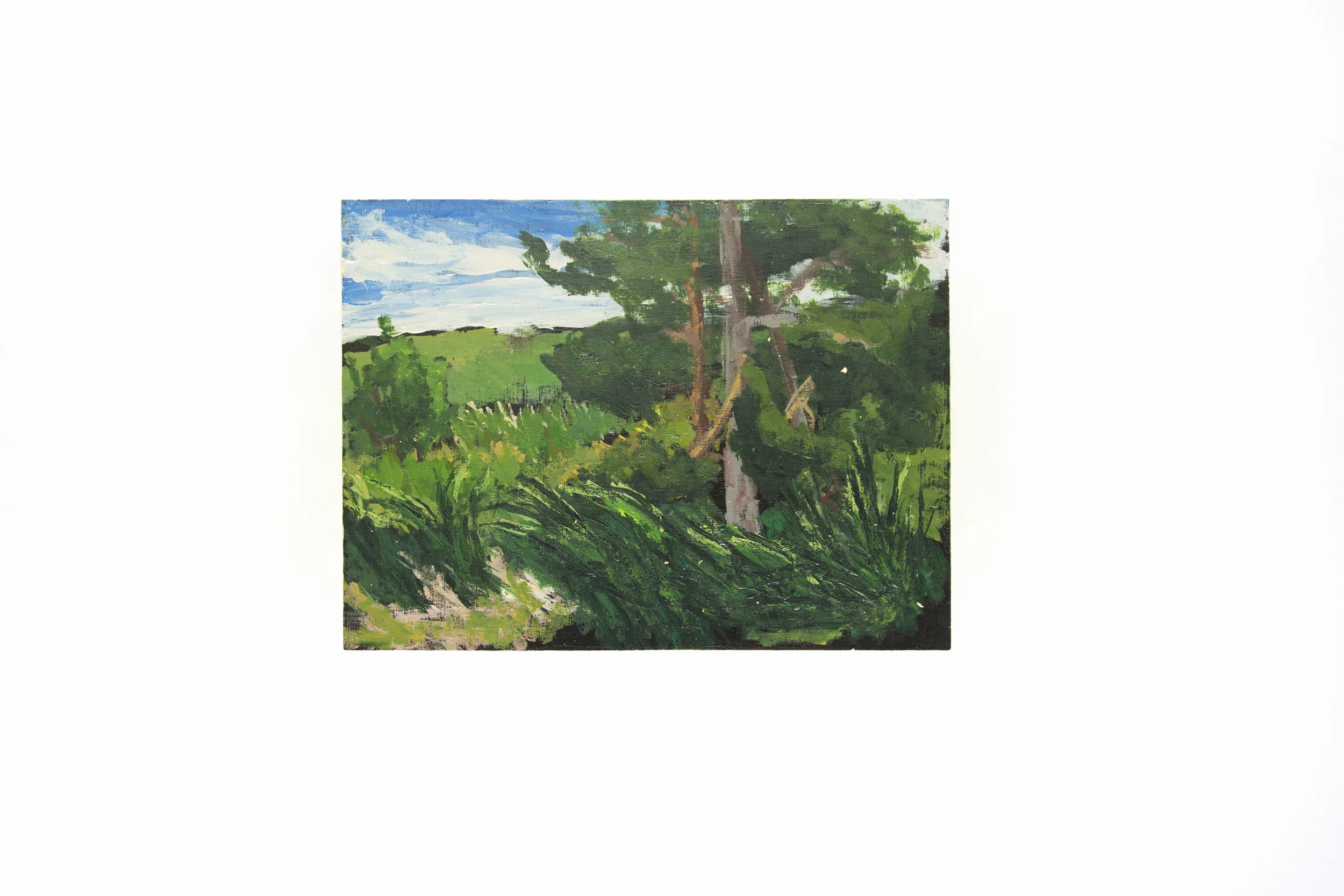 Robison Ranch