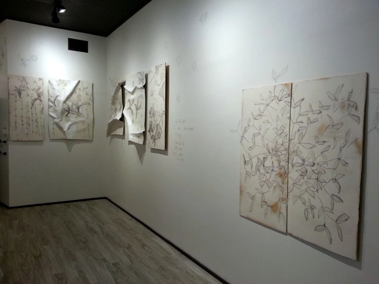 Equivocal Space, 2013