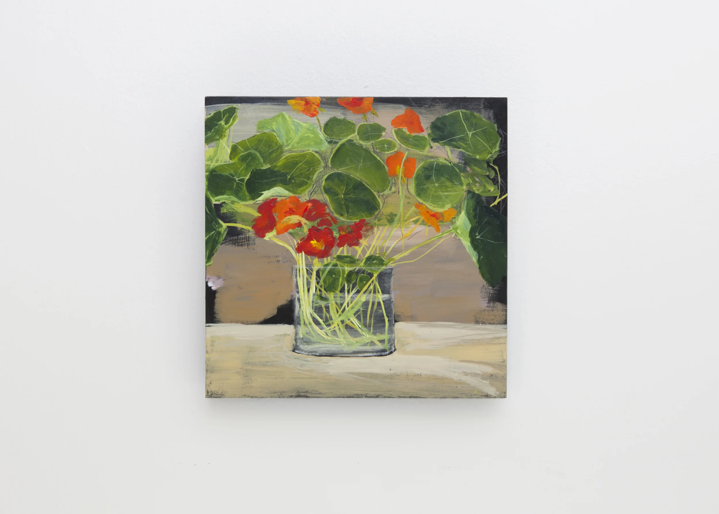 Nasturtiums make great pets.