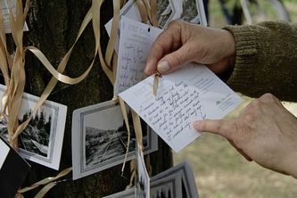 Postcard Anecdotes, a part of Lindsey Bond’s evolving art installation Negotiating Spaces, will be on display in Riding Mountain National Park in September while she takes part in the Deep Bay Artists’ Residency Program.