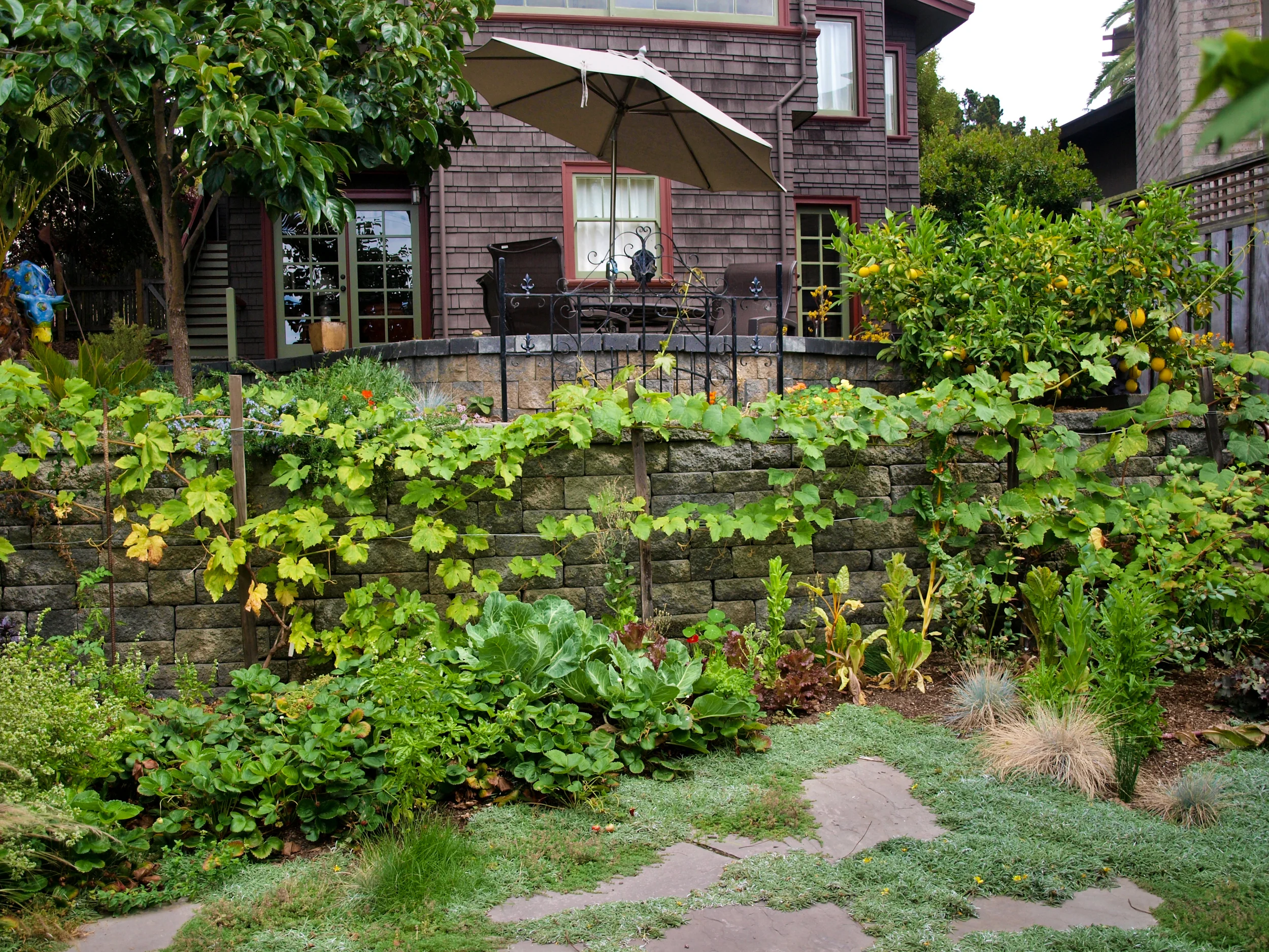 P8179498-2.jpg