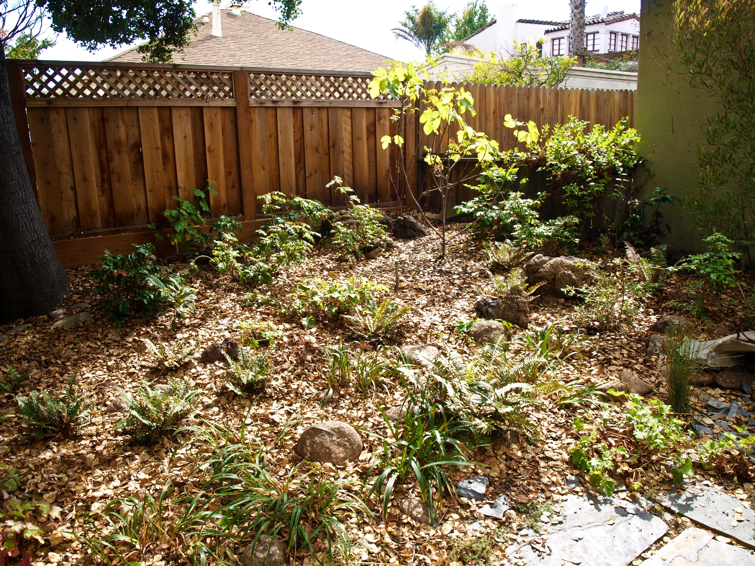 P8179590-2.jpg