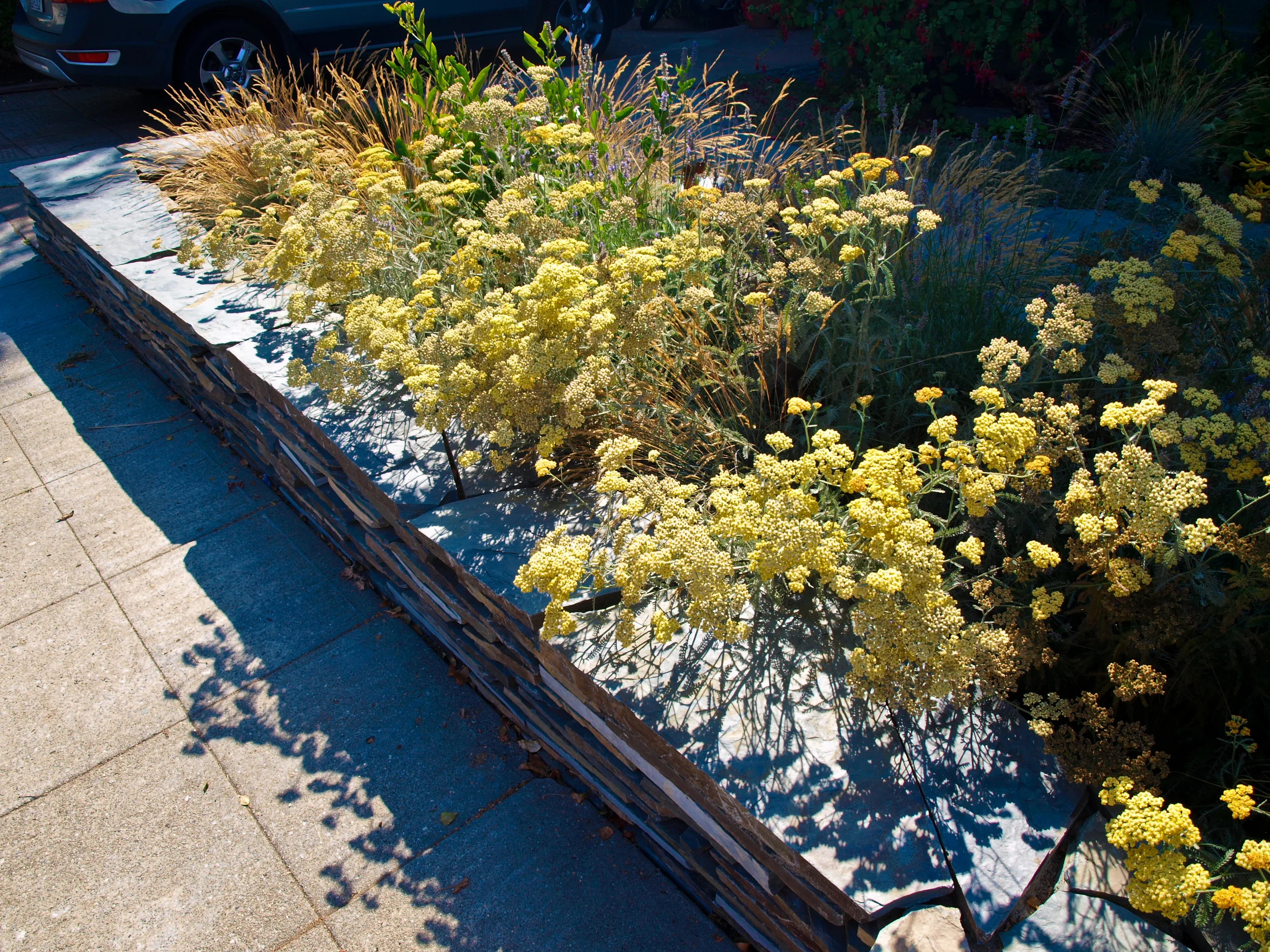 P8089413-2.jpg