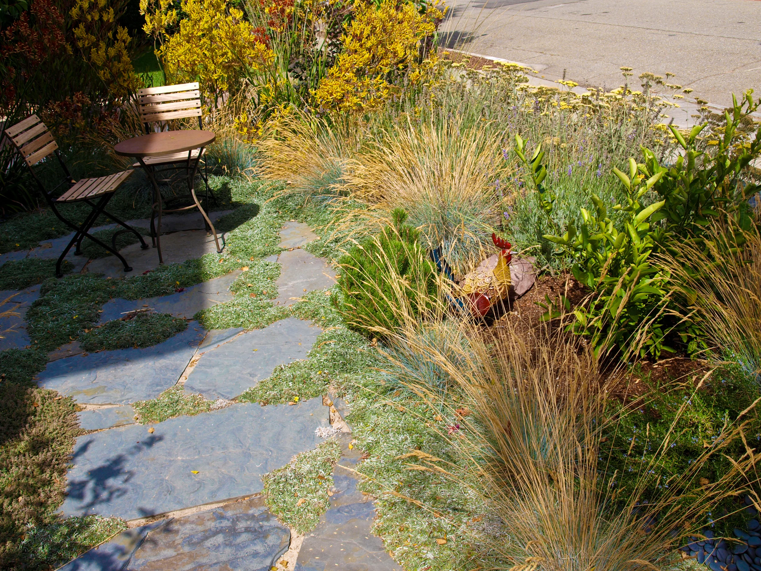 P8179534-2.jpg