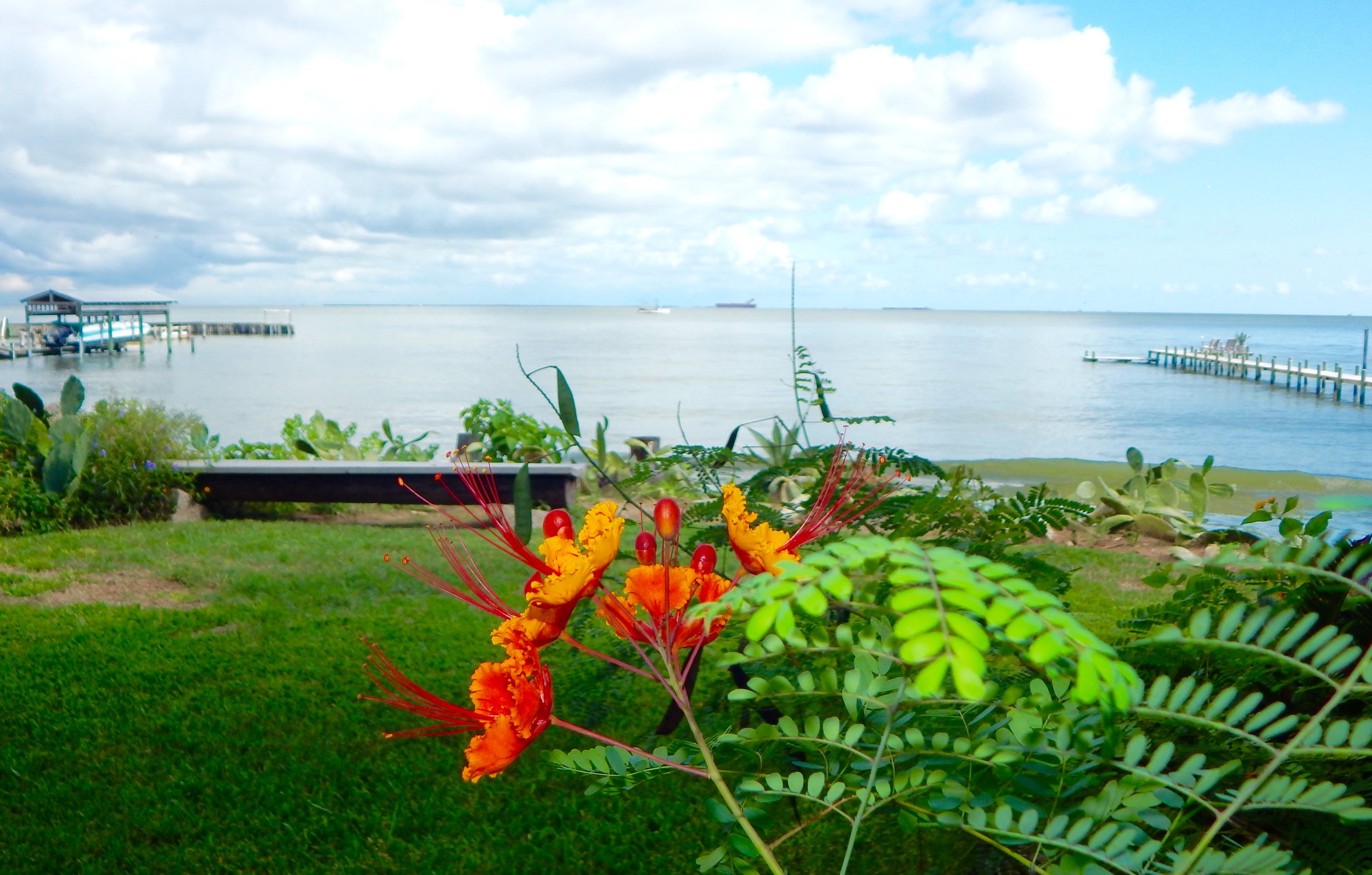 DSCN3388.jpg
