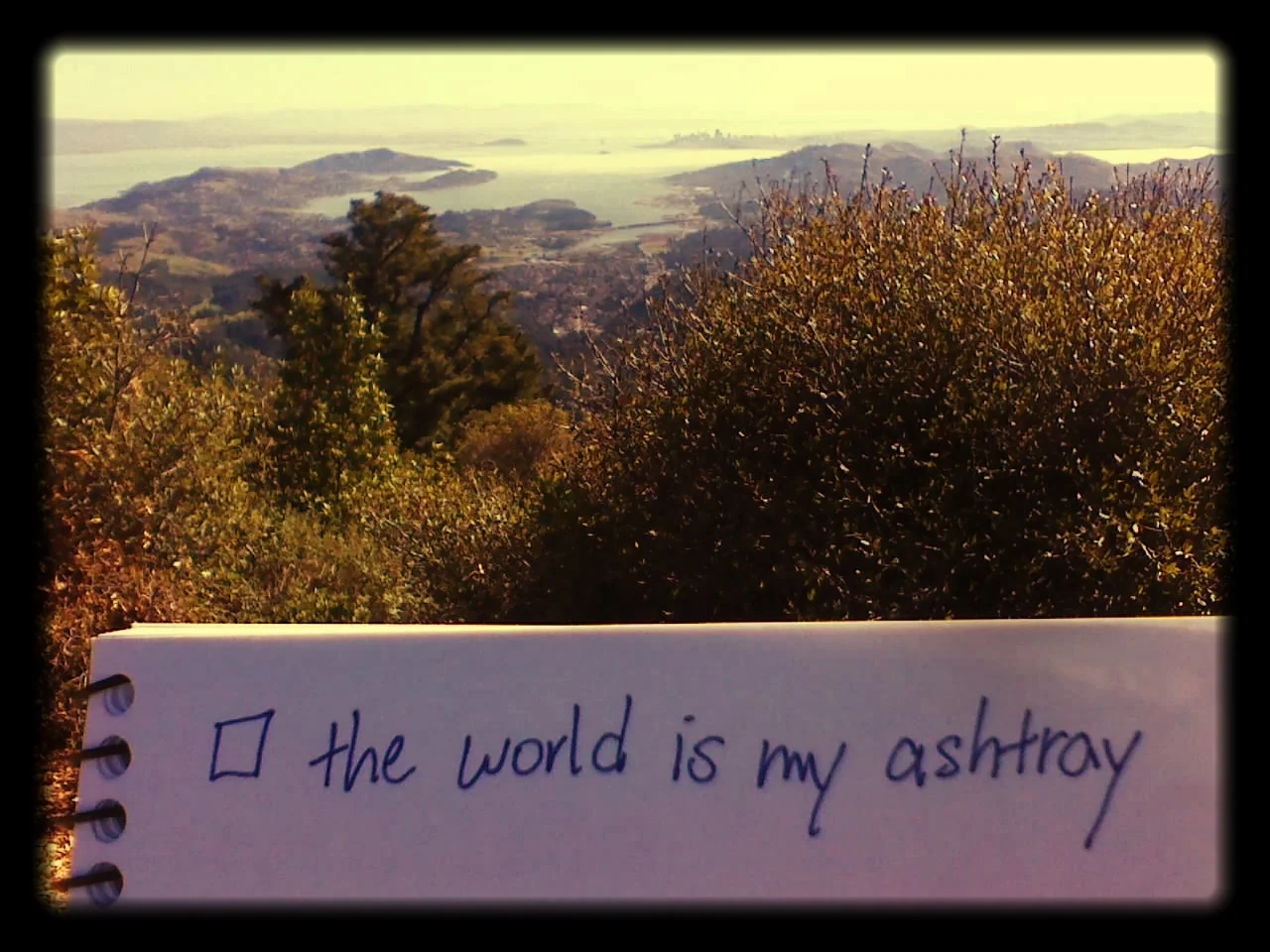 TheWorldIsMyAshtray.jpg