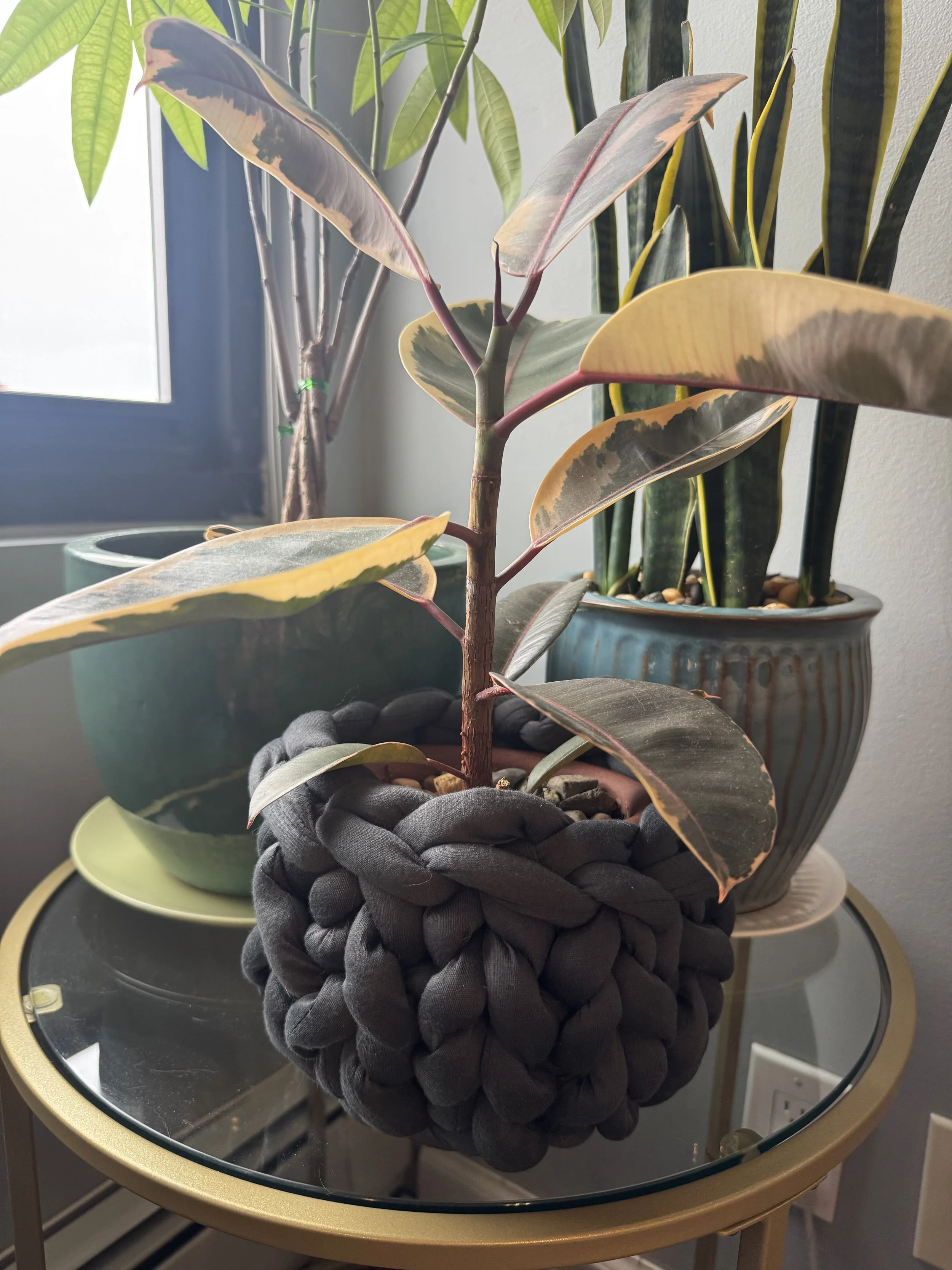 Mindful Art: Crochet Chunky Plant Holder - Tuesday, June 24th from 7:30PM-9:30PM (1 Class)