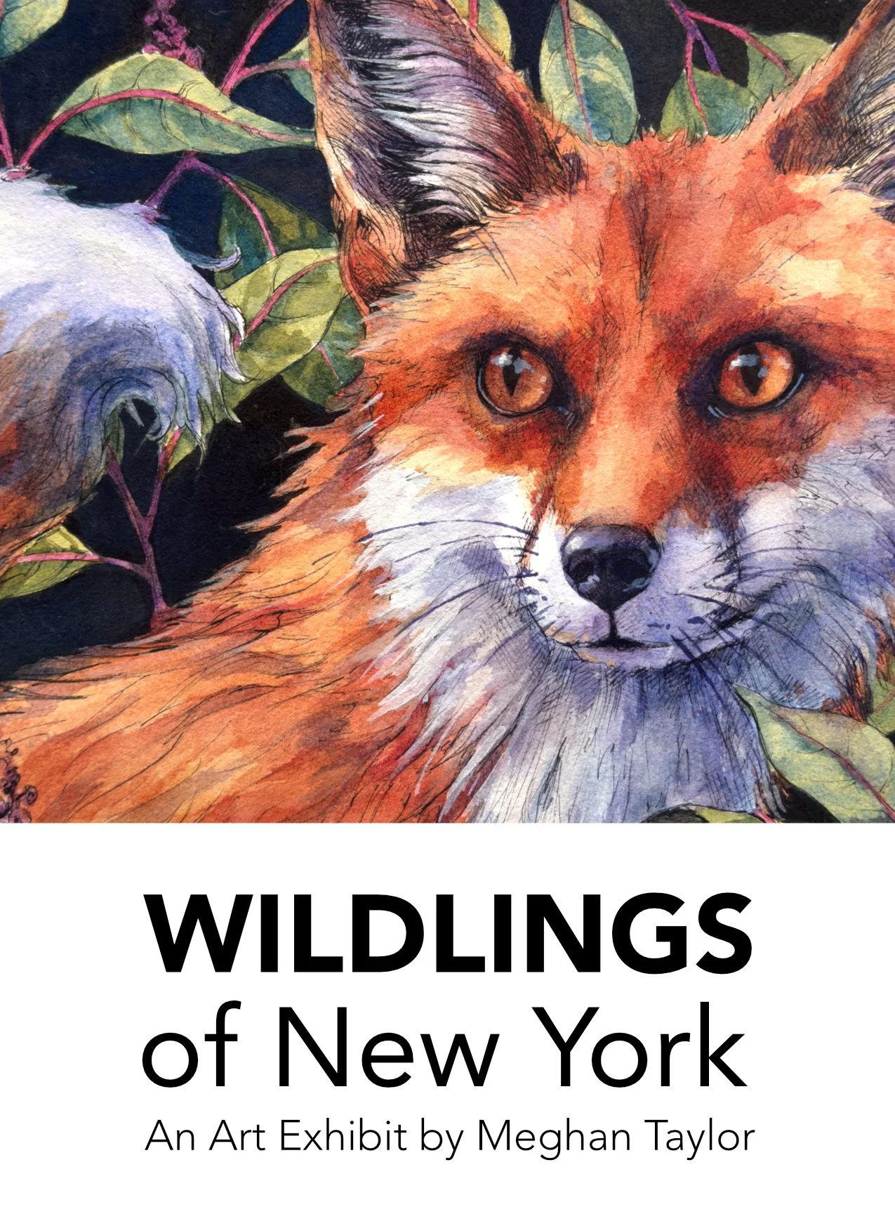 Live Animal Sketching & Art Reception - Friday, February 13th from 6:15PM - 7:30PM