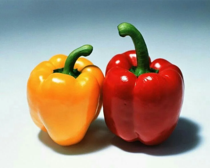 Acrylic Painting: Beginner Series - Thursdays, October 9th - October 23rd from 6:30-8:30pm (3 Classes)