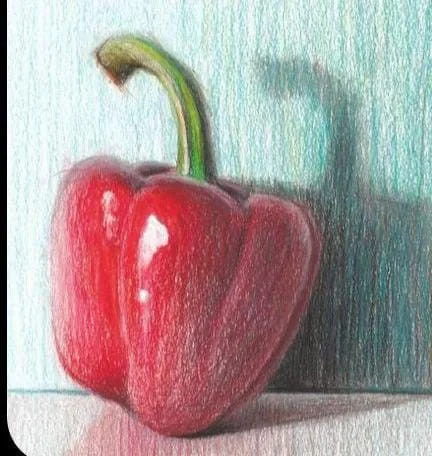 Drawing Fundamentals: Drawing with Color - Thursdays, Dec 3rd - Dec 17th from 6:30-8:30pm (3 Classes)