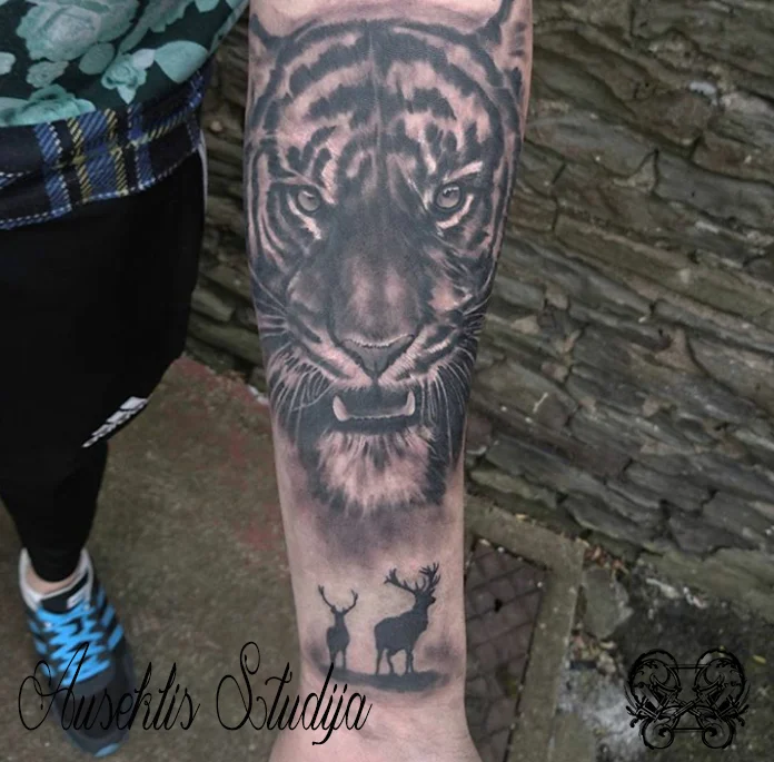 Evo b&g tiger with stag forearm.jpg