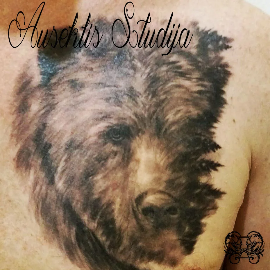 Evo bear chest.jpg