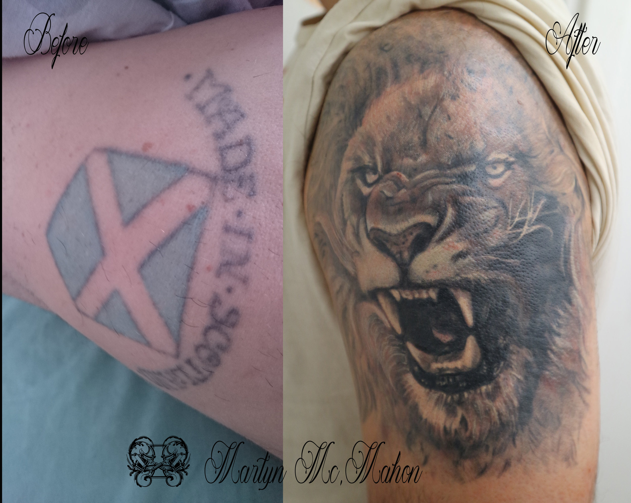 Martyn - Saltire Lion cover up.jpg