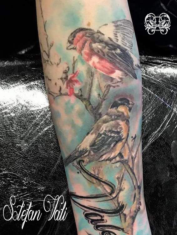 Vali - colour birds on branch.jpeg