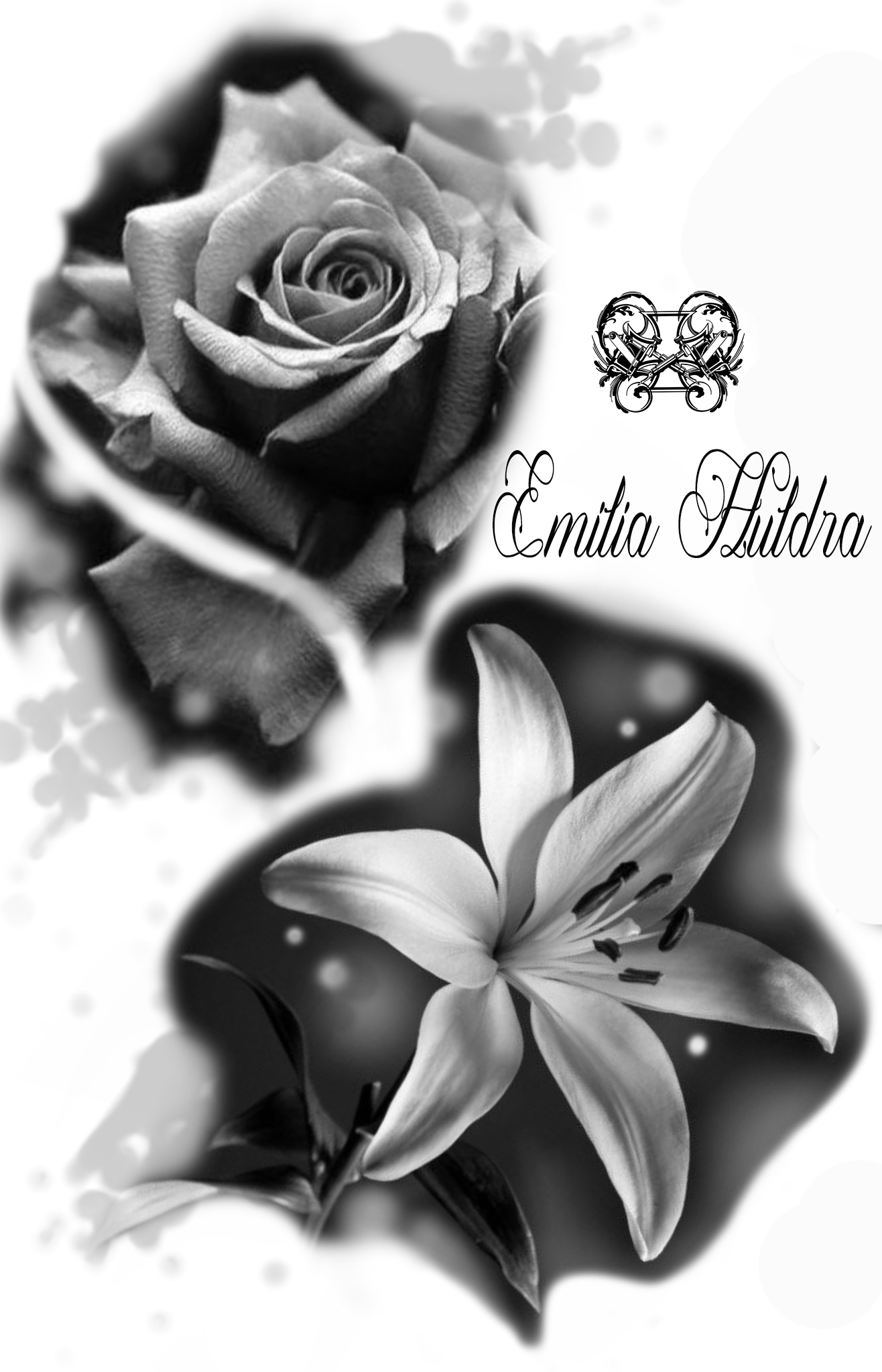 Emilia - b&g flower flash cropped.jpg