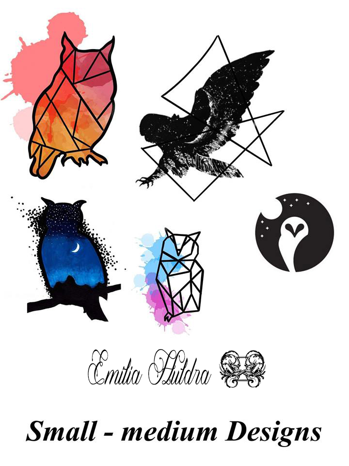 Emilia - colour owls.jpg