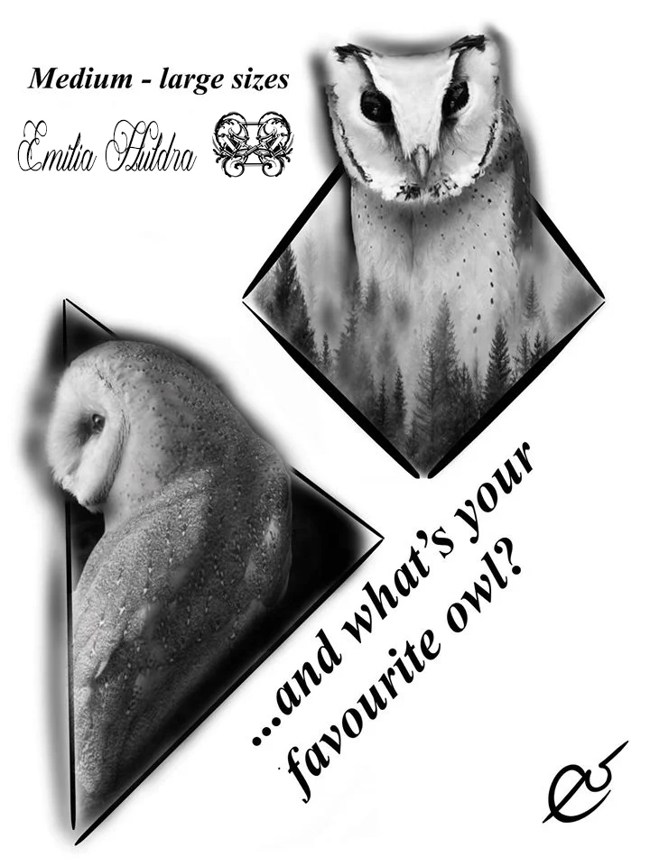 Emilia - medium barn owl.jpg