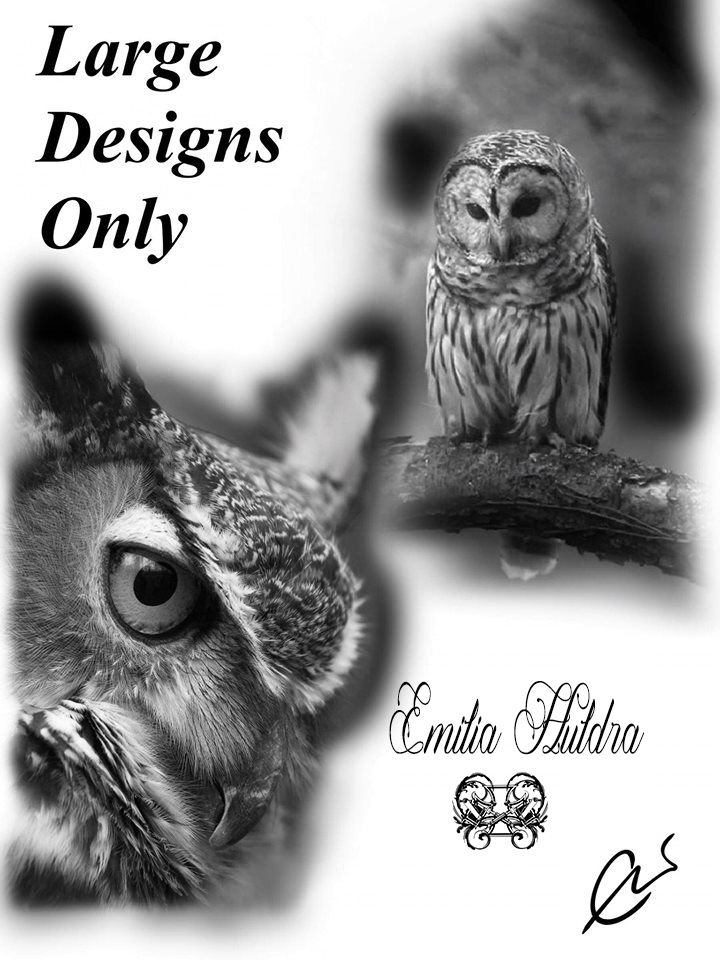 Emilia - owls large only.jpg