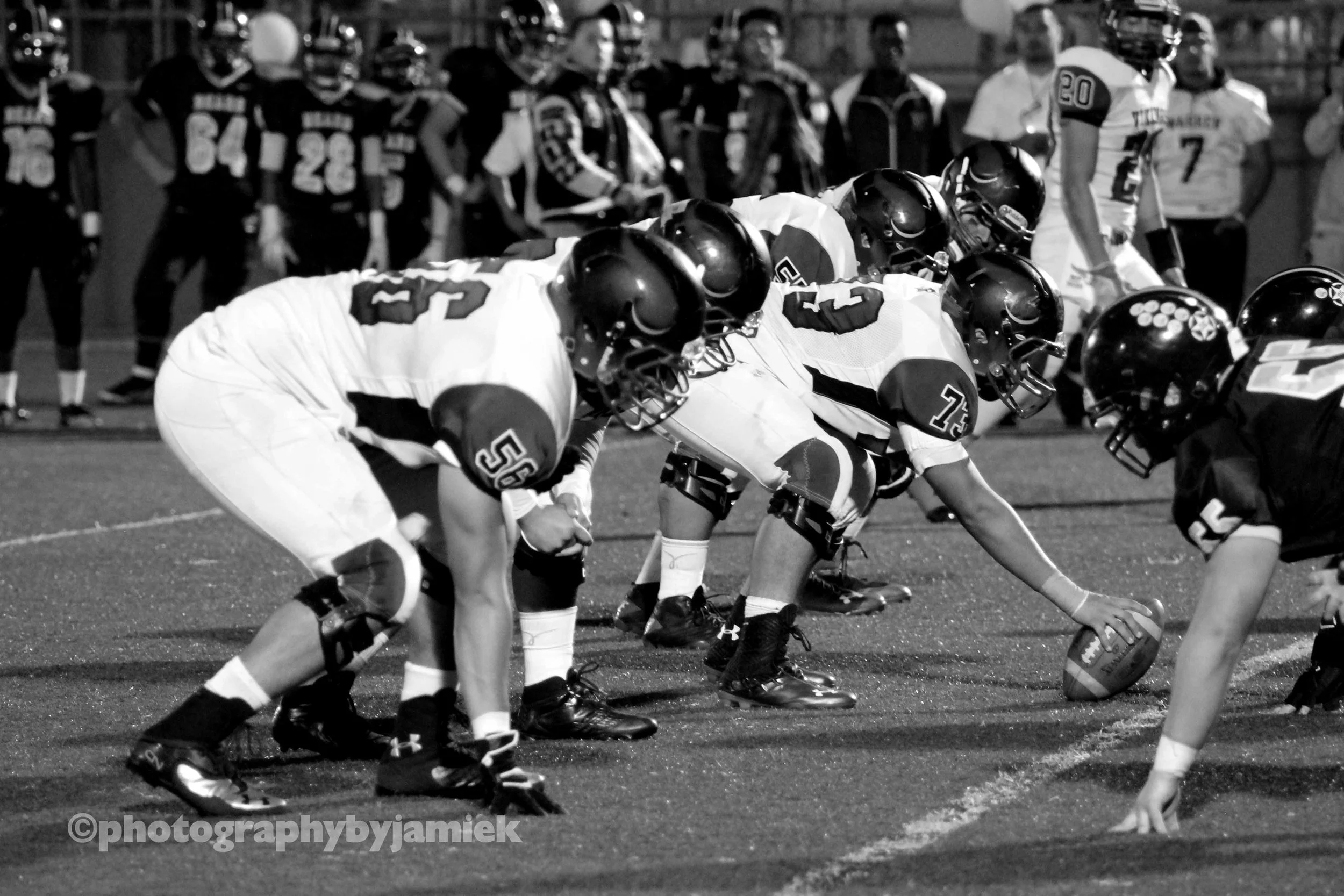IMG_2490b copy.jpg
