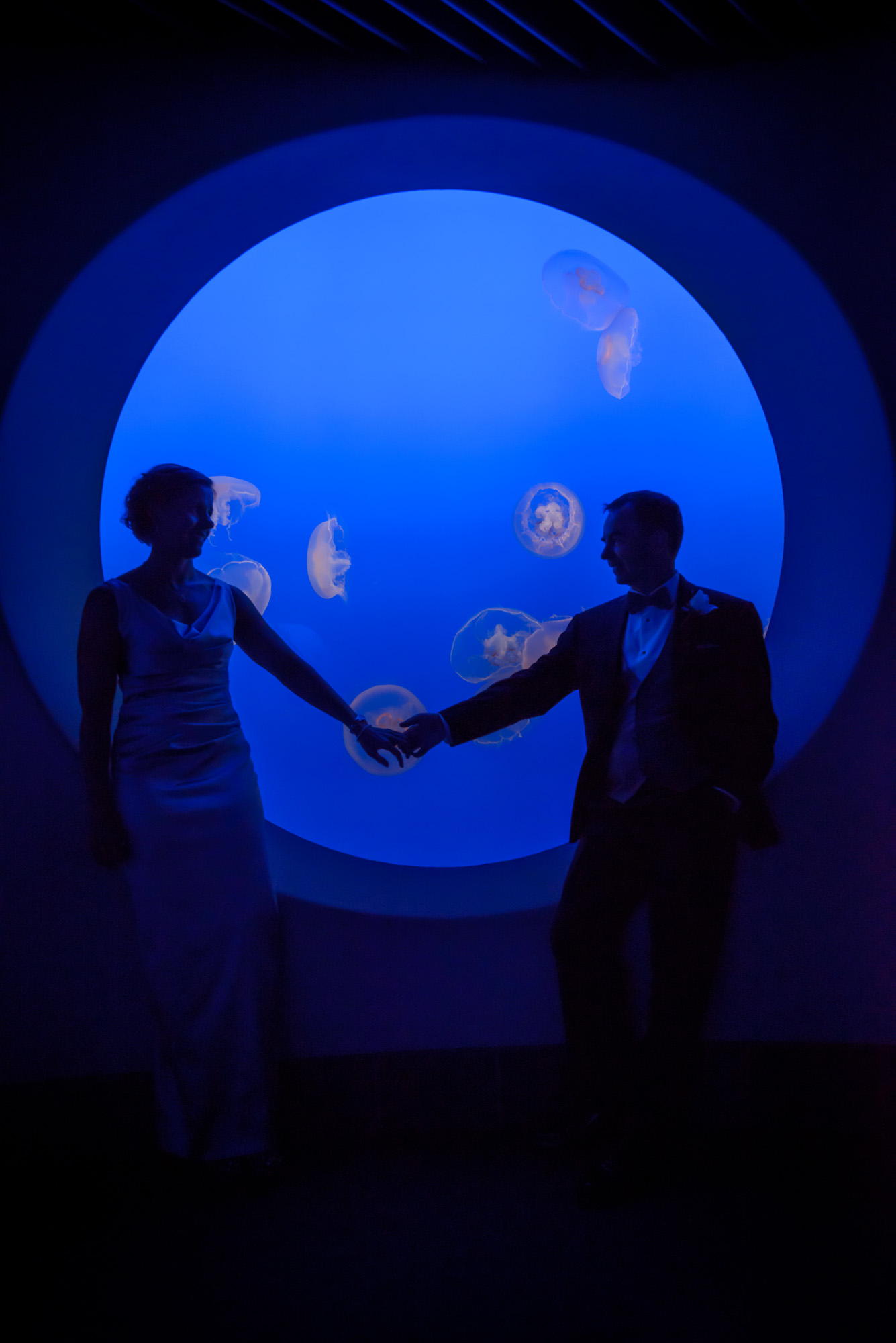 2124_d800_Kirsten_and_Bob_Monterey_Bay_Aquarium_Wedding_Photography.jpg