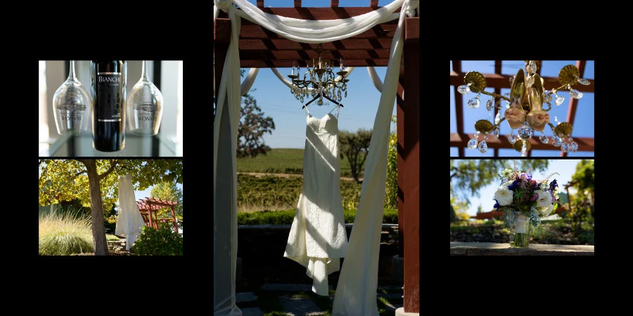 Bianchi Winery Wedding Photos - Anna and Alan - by Bay Area wedding photographer Chris Schmauch