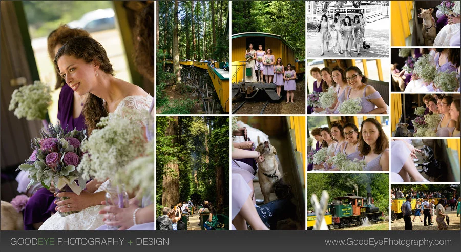 Roaring Camp Felton Wedding Photos - Lisa and Chris - by Bay Area wedding photographer Chris Schmauch www.GoodEyePhotography.com
