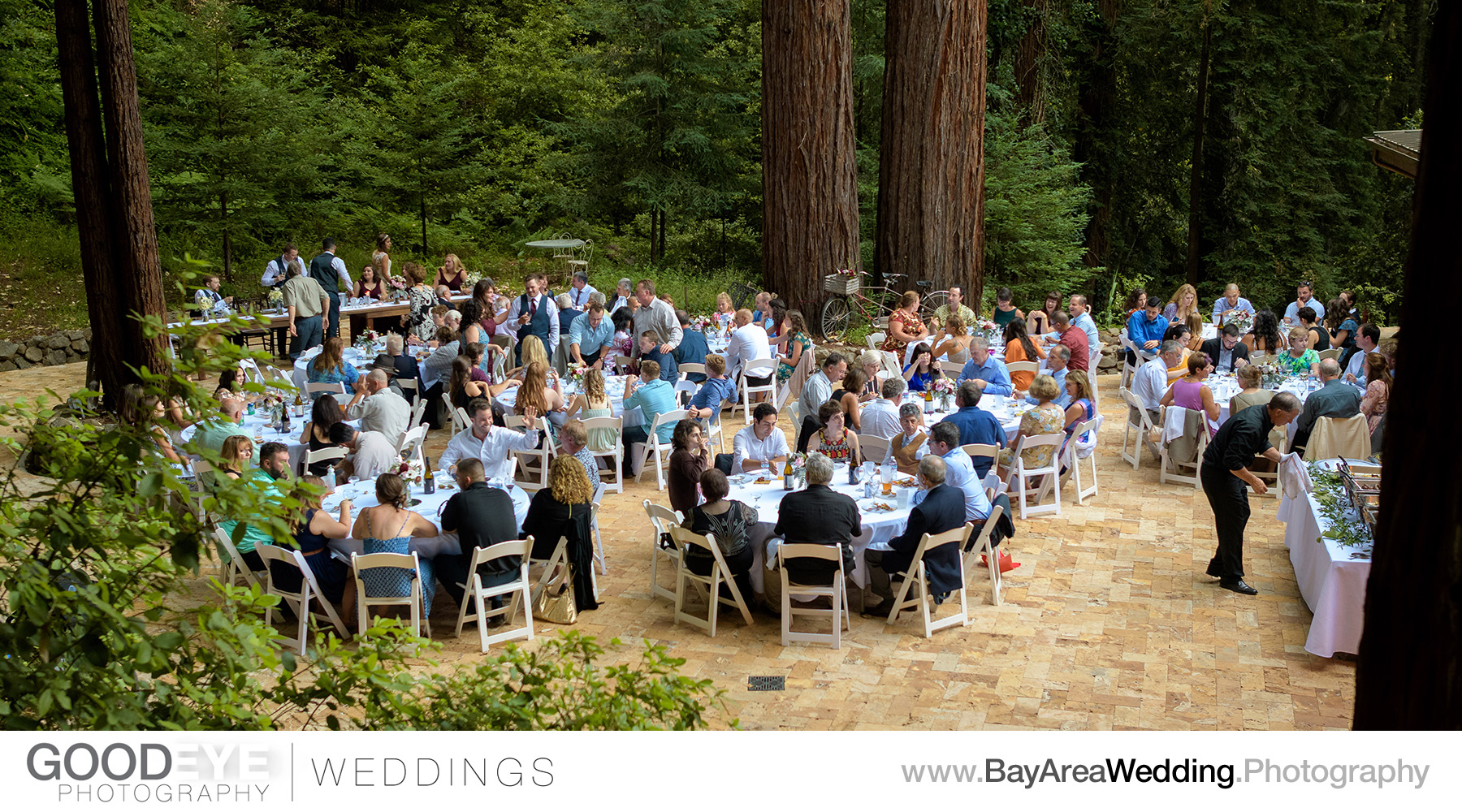 Waterfall Lodge Wedding Photography - Ben Lomond, California - J