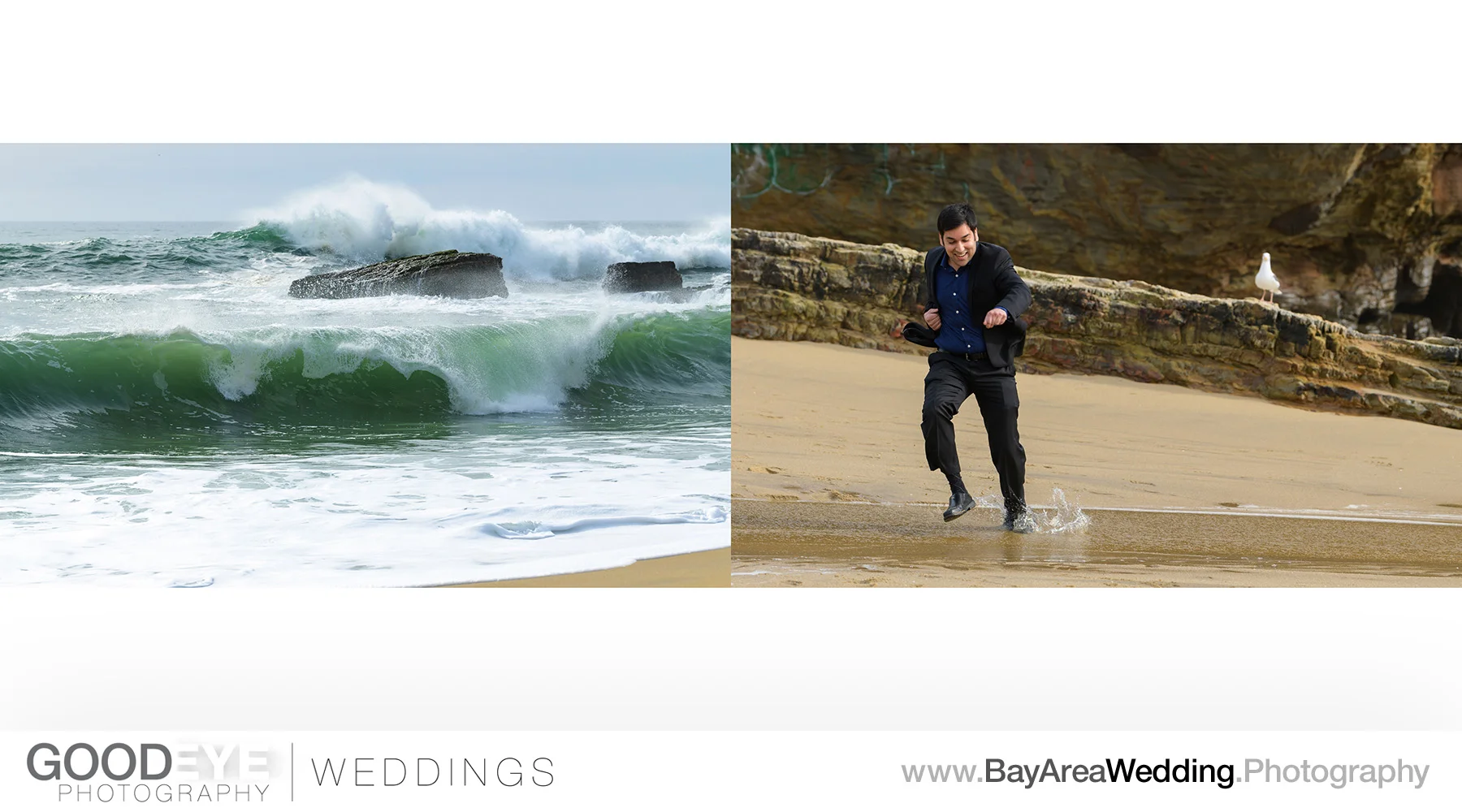 Panther Beach Santa Cruz Marriage Proposal / Engagement Photos -